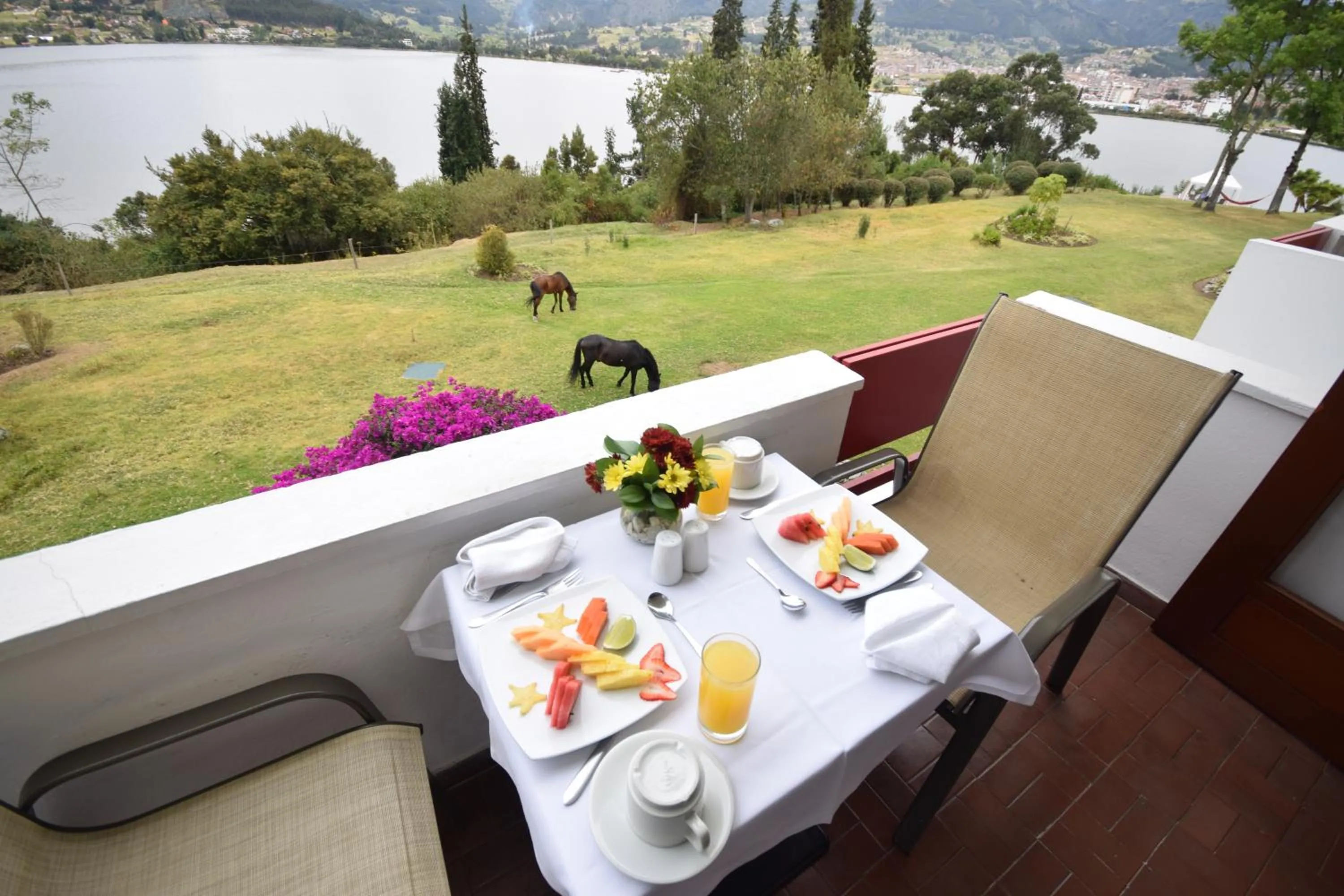 Garden view in D'Acosta Hotel Sochagota