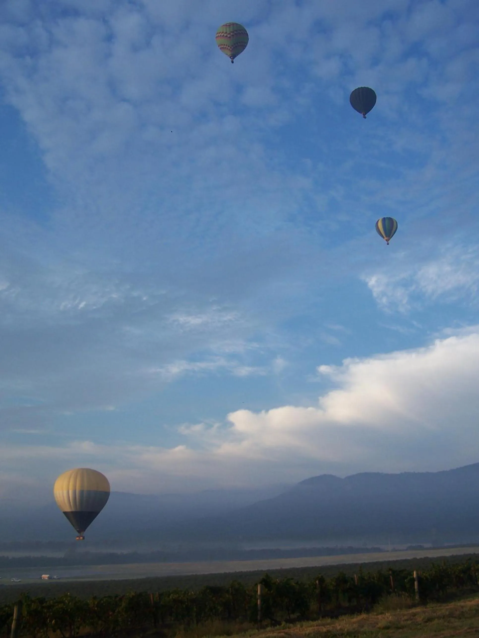 Garden in Estate Tuscany