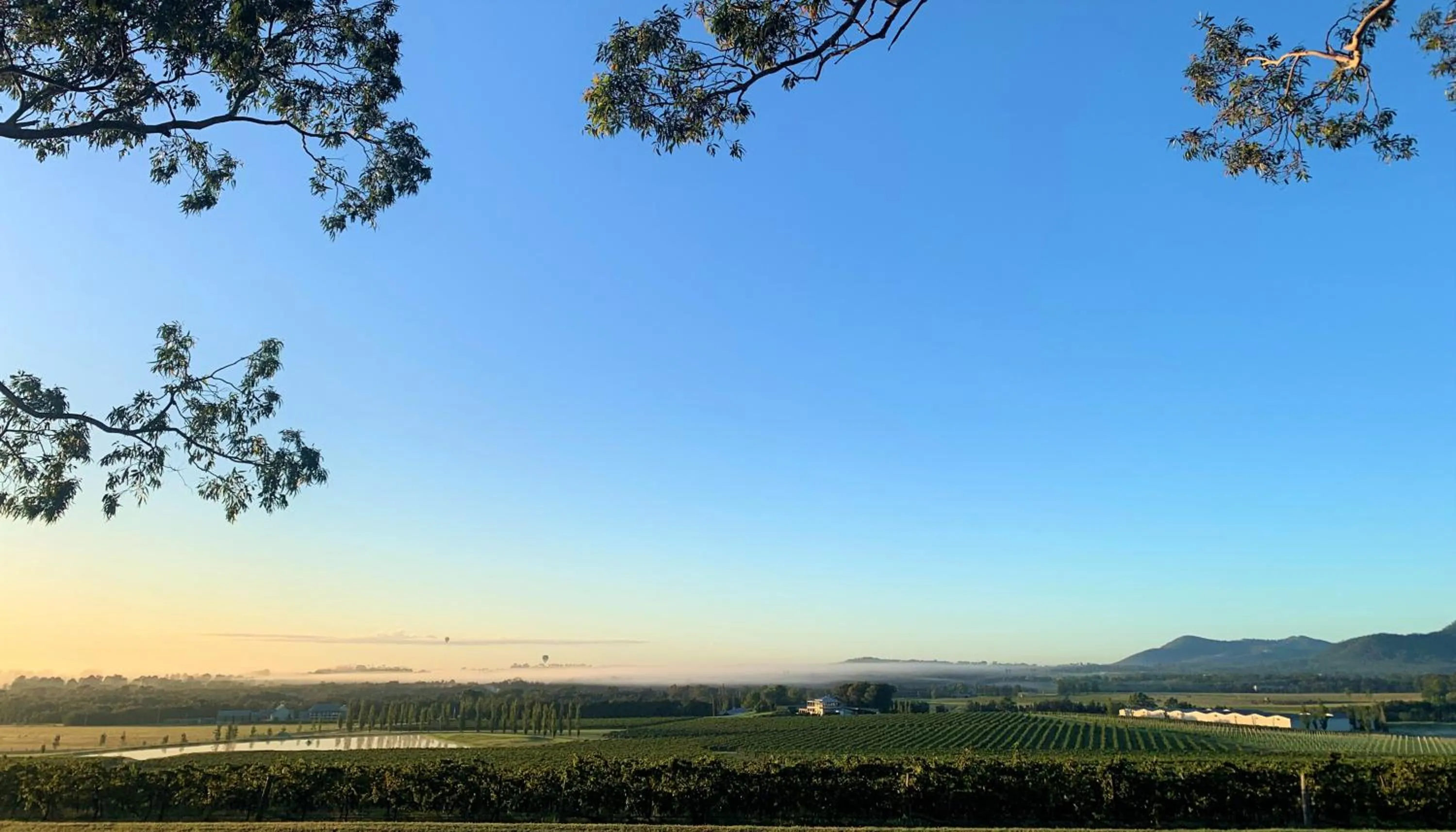 Garden in Estate Tuscany