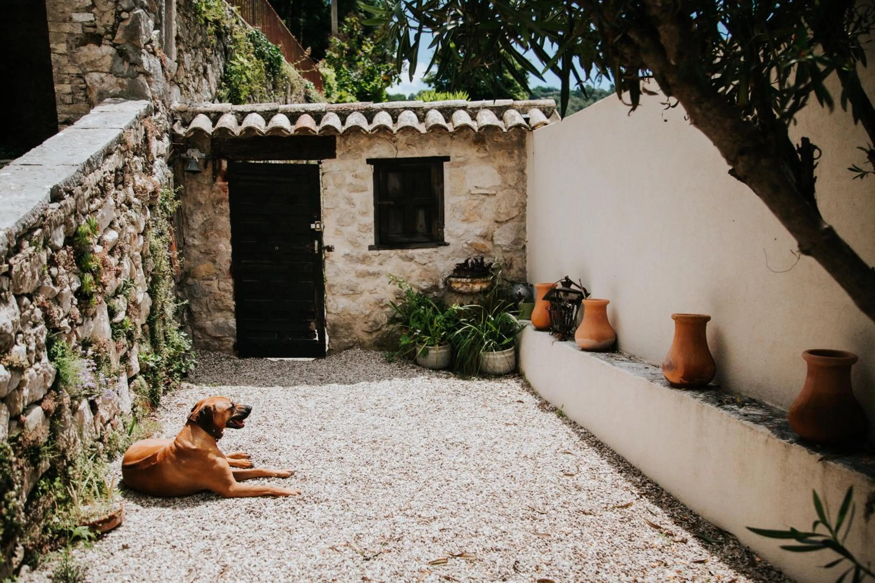 Facade/entrance in Le Moulin Camoula