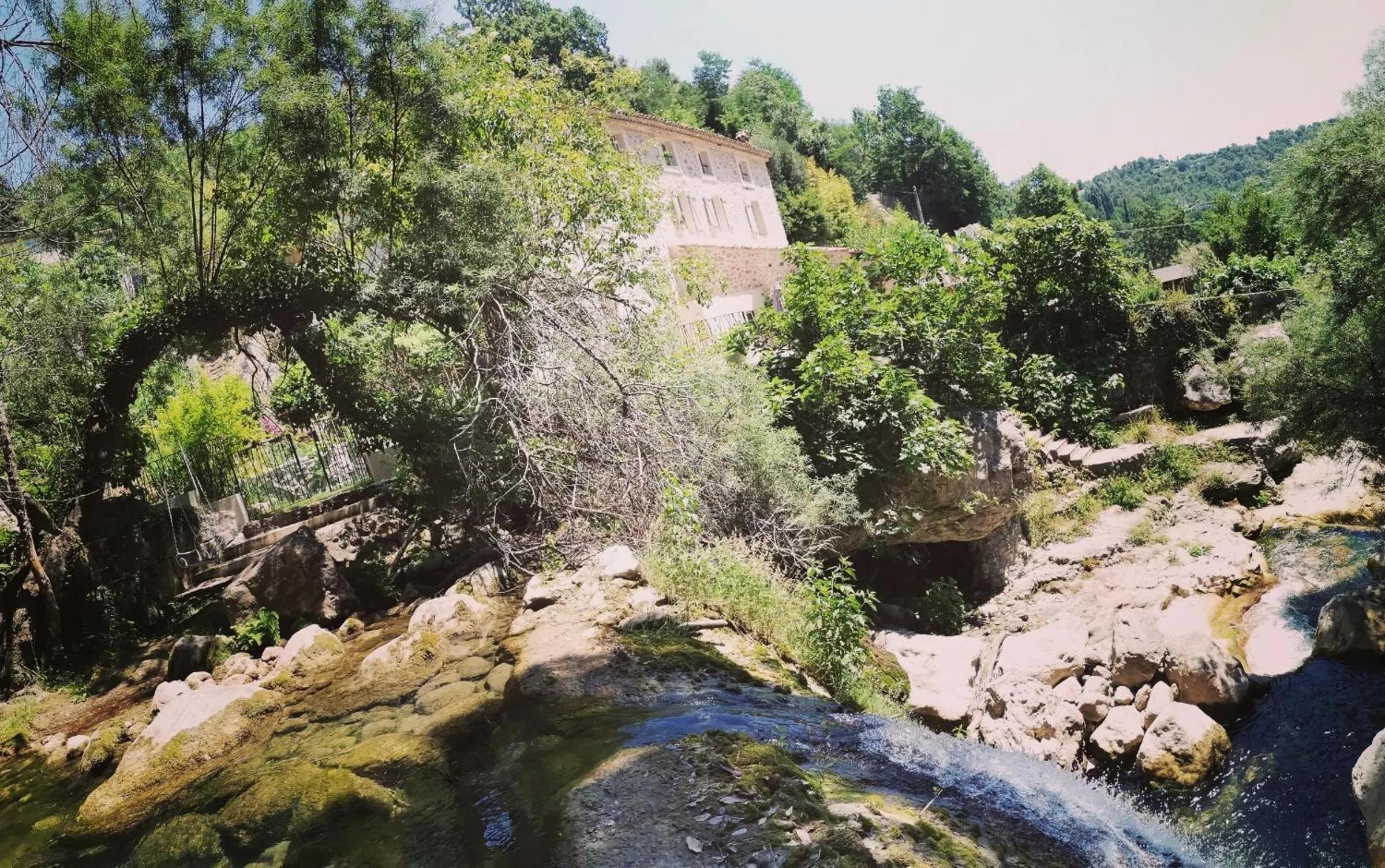 Garden in Le Moulin Camoula