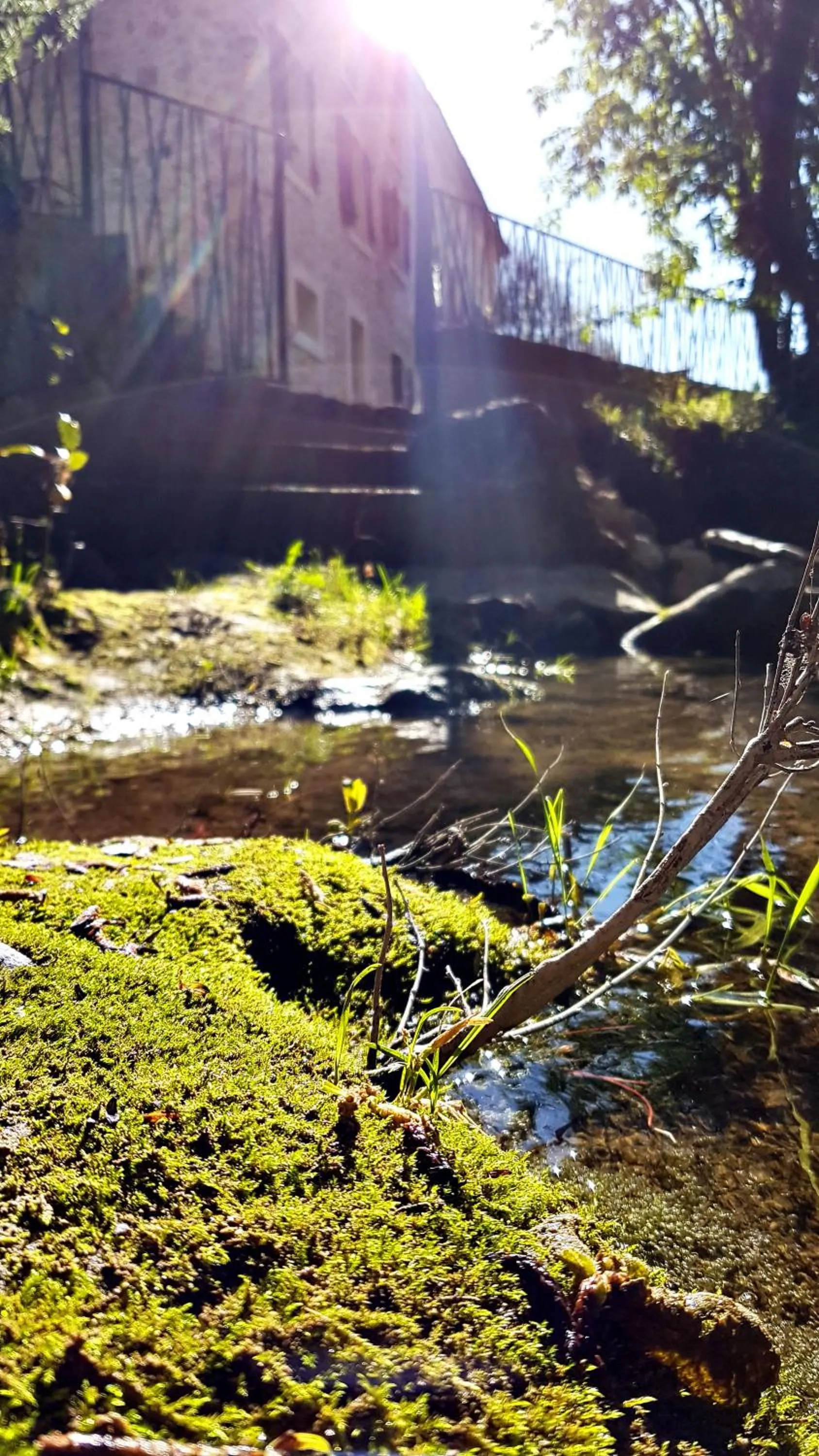 River view in Le Moulin Camoula