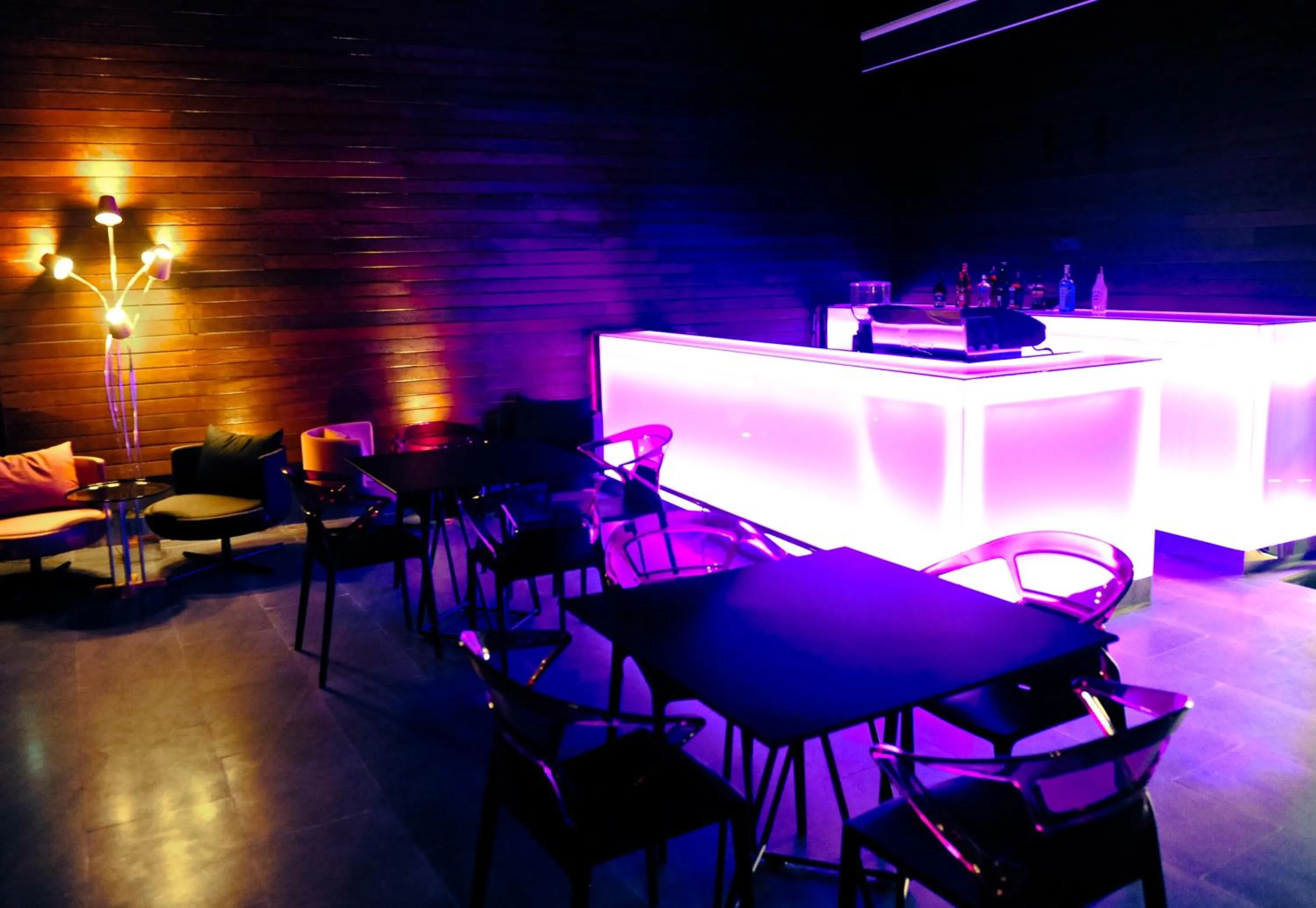 Lounge or bar in Efe Hotel