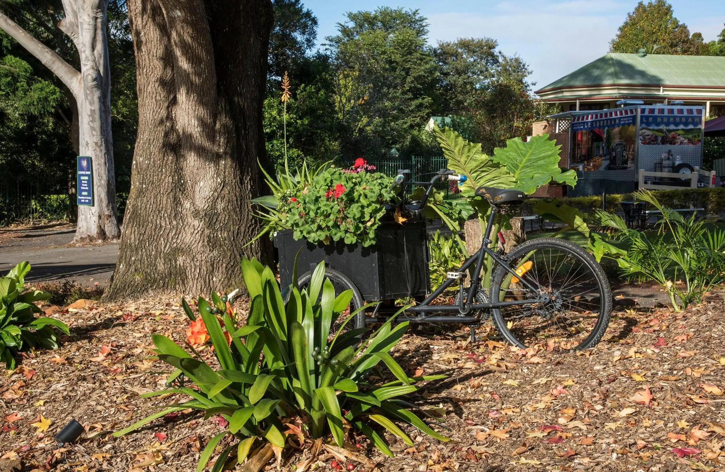 Maleny Hills Motel