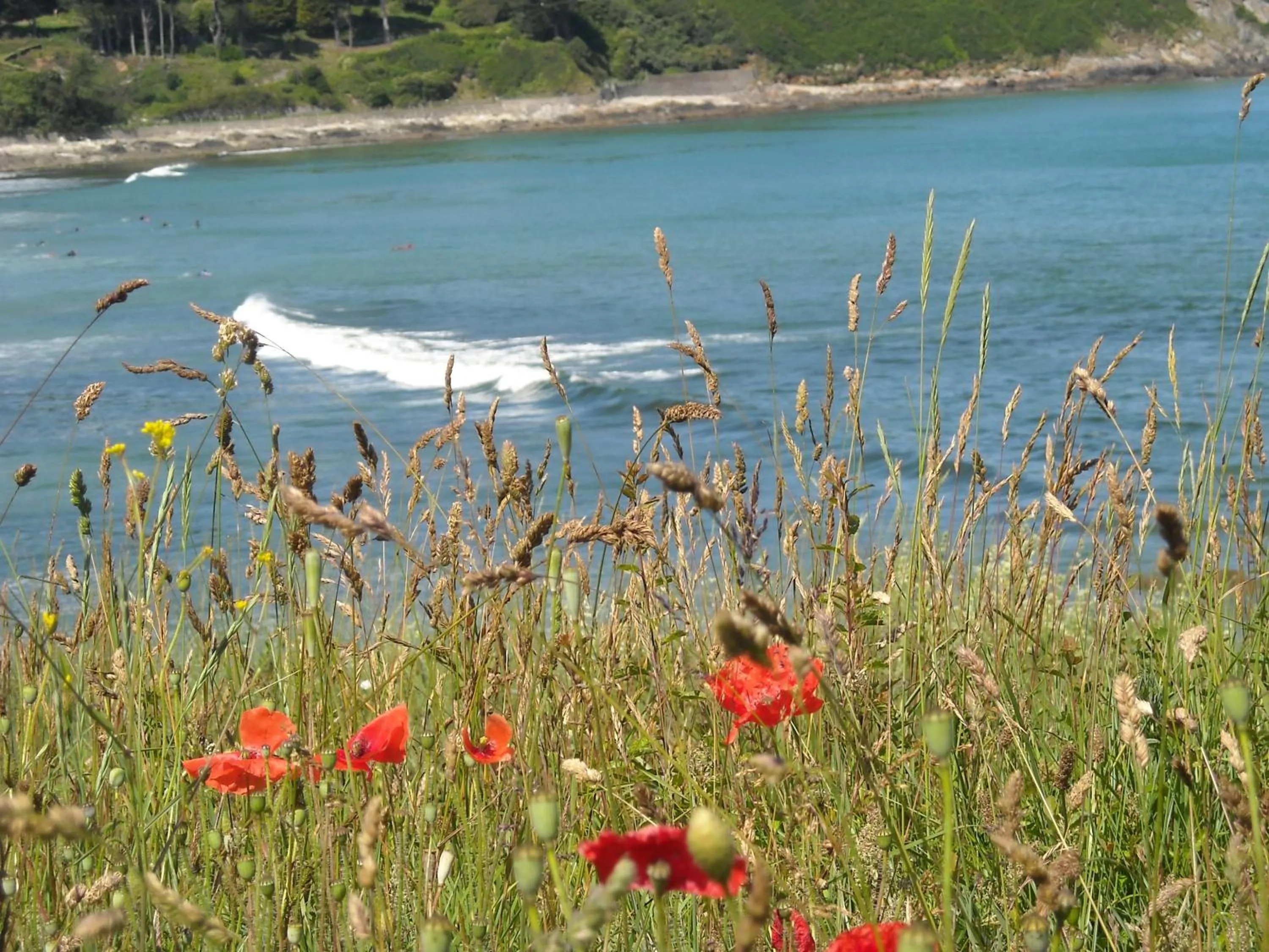 Area and facilities in L'Escale Evel Er Gêr