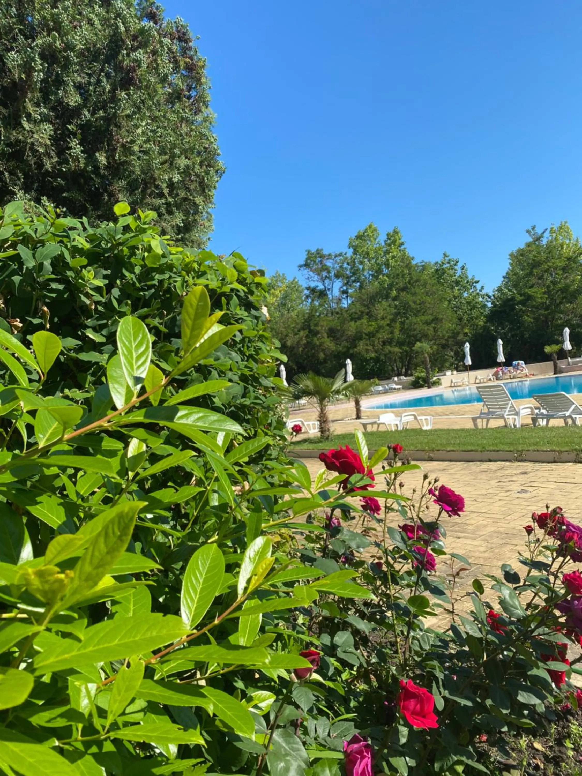 Swimming pool in Kamenec Hotel