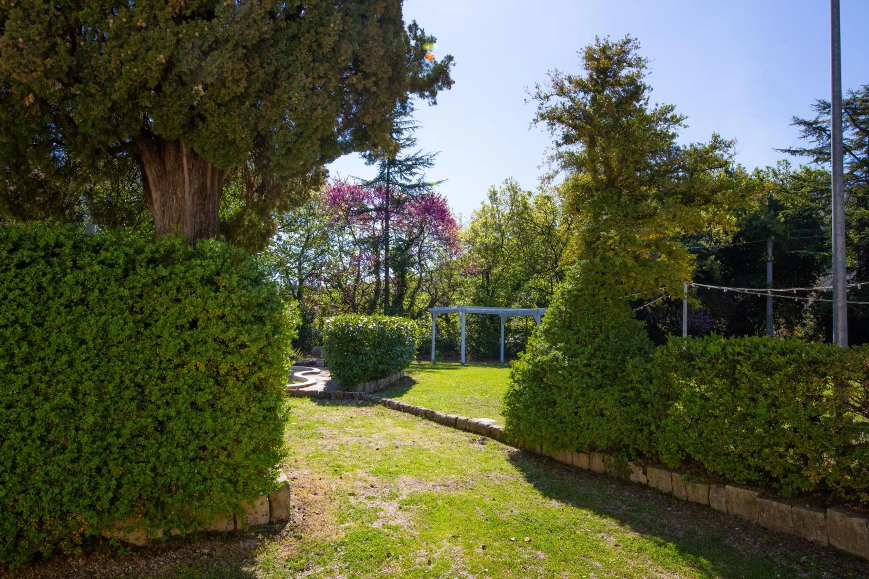 Garden in Villa Pardi