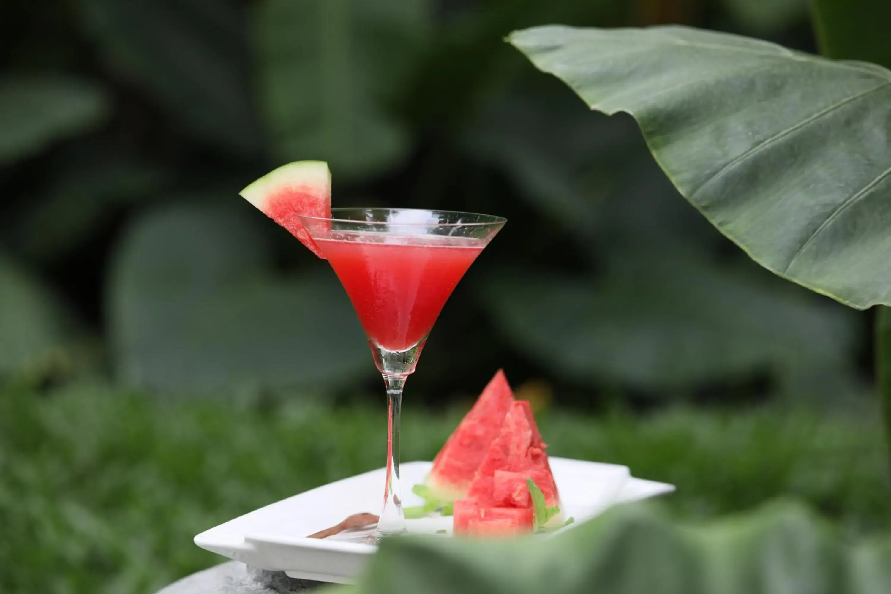 Food and drinks in Andores Resort And Spa - Calangute Food and drinks in Andores Resort And Spa - Calangute