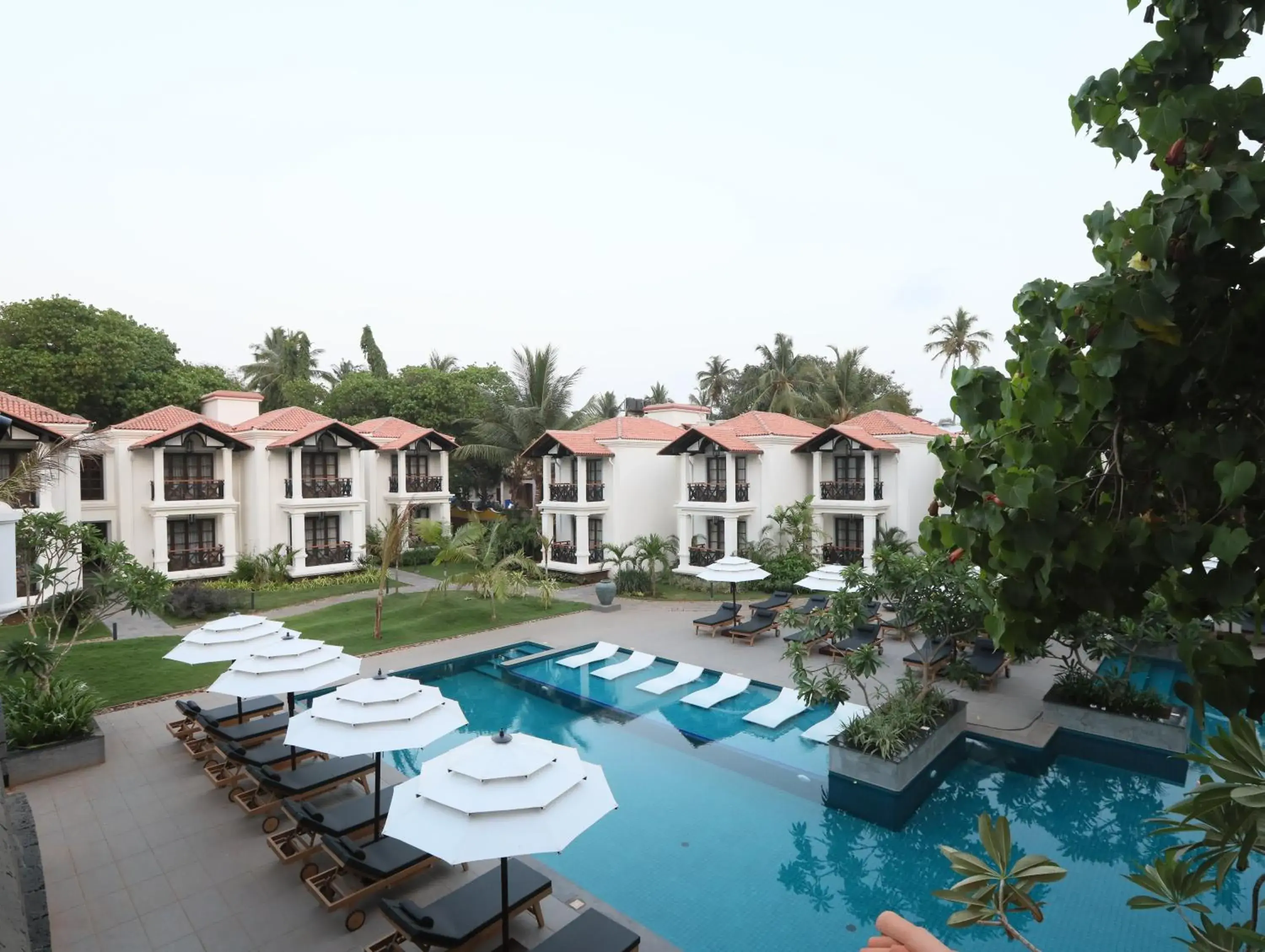 Pool view in Andores Resort And Spa - Calangute Pool view in Andores Resort And Spa - Calangute