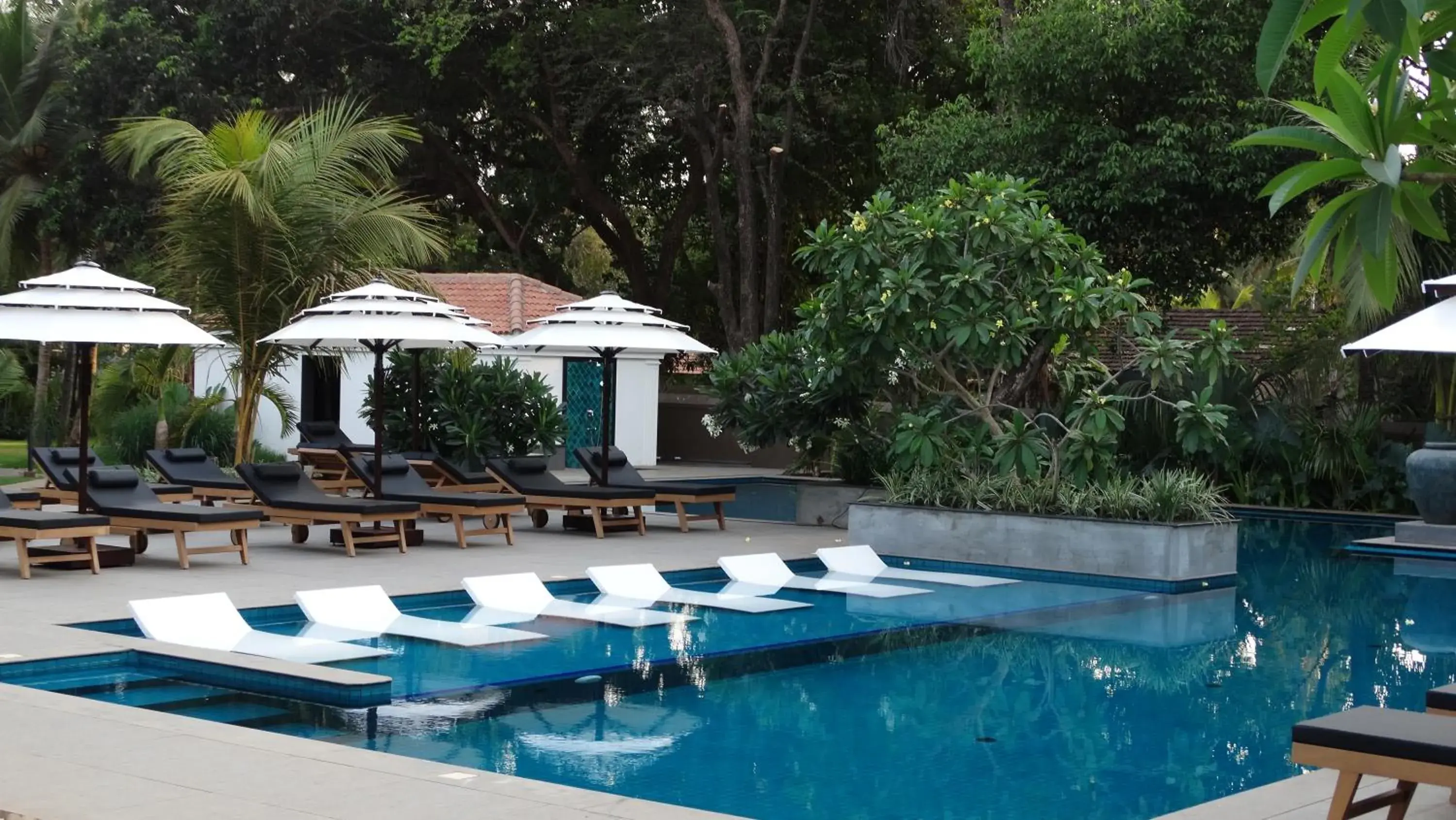 Swimming pool in Andores Resort And Spa - Calangute Swimming pool in Andores Resort And Spa - Calangute