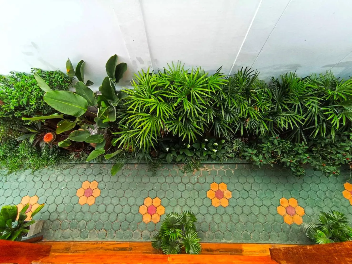 Garden view in Apilapa Hotel