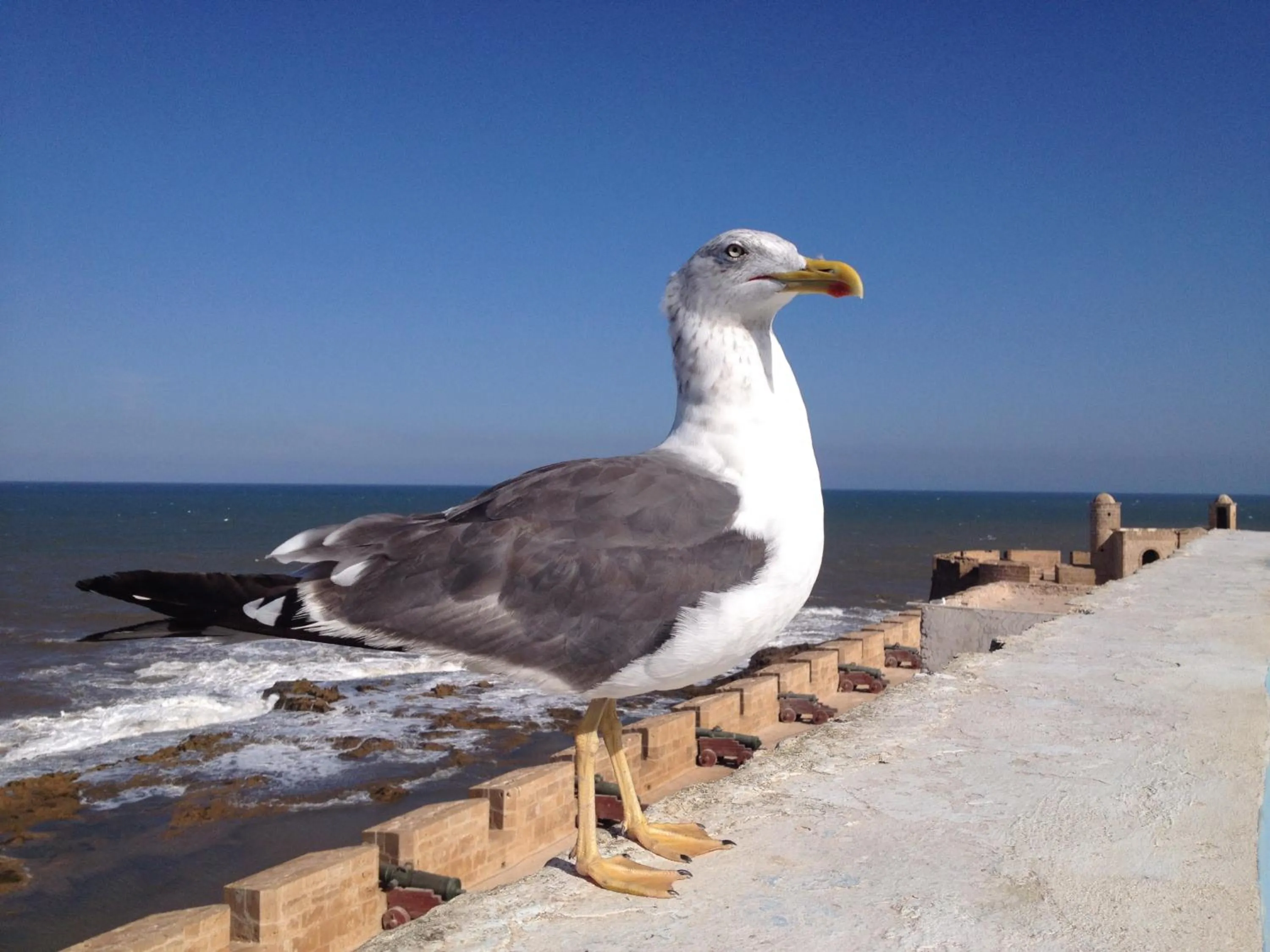 Patio in La Maison des Artistes