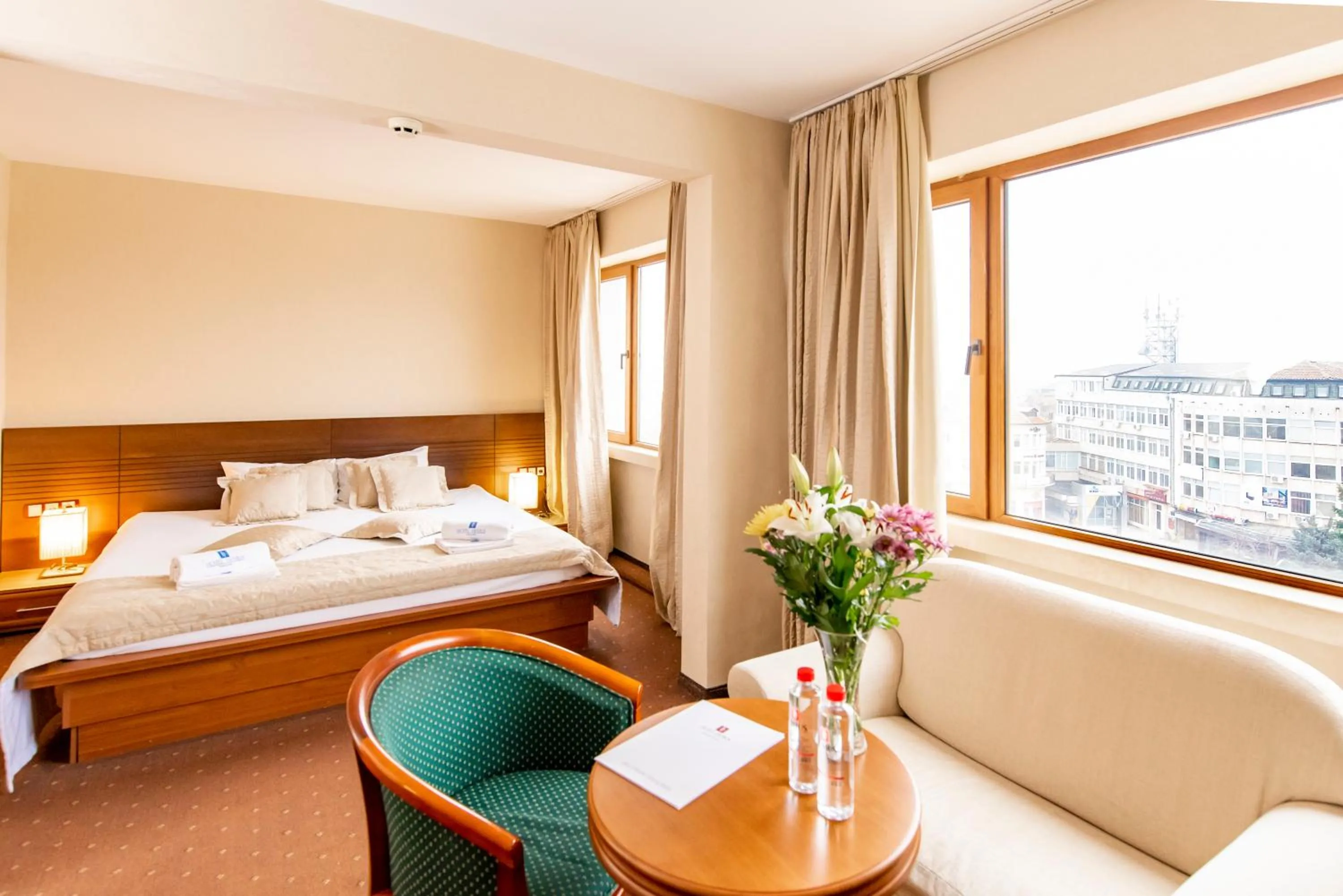 Double Room in Hemus Hotel - Vratza