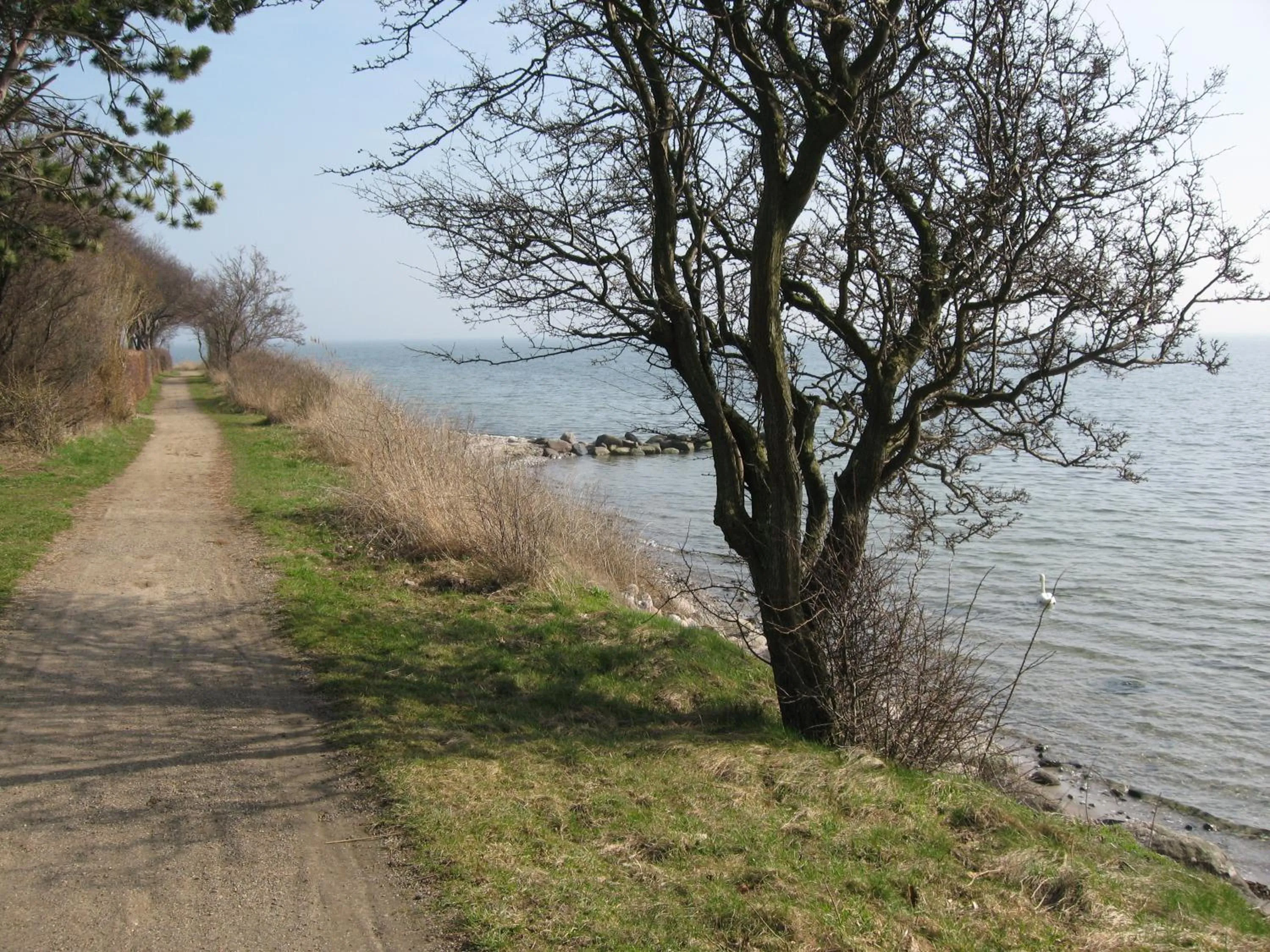 Area and facilities in Hotel Nysted Havn