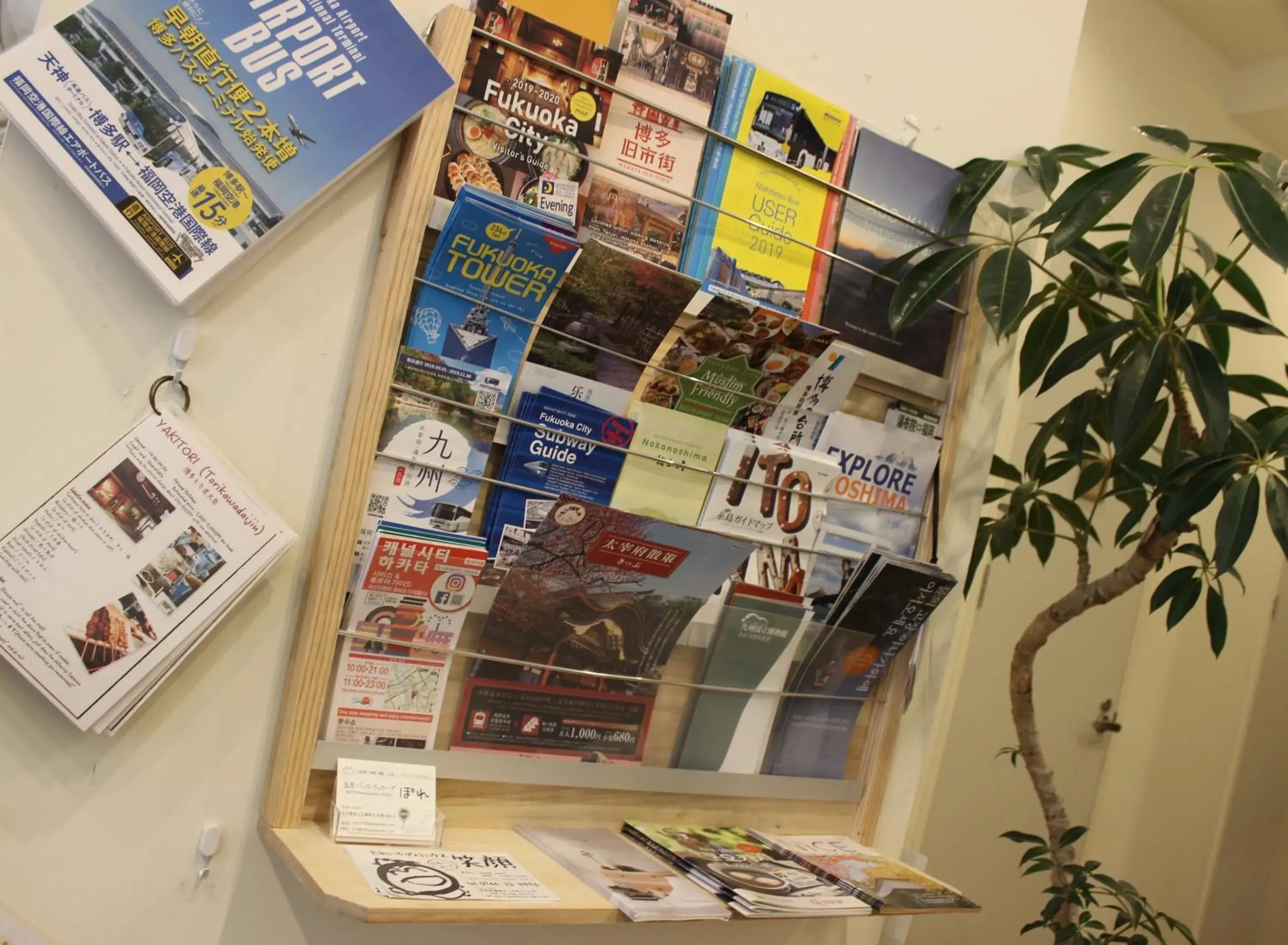 Lobby or reception in Hostel TOKI Lobby or reception in Hostel TOKI