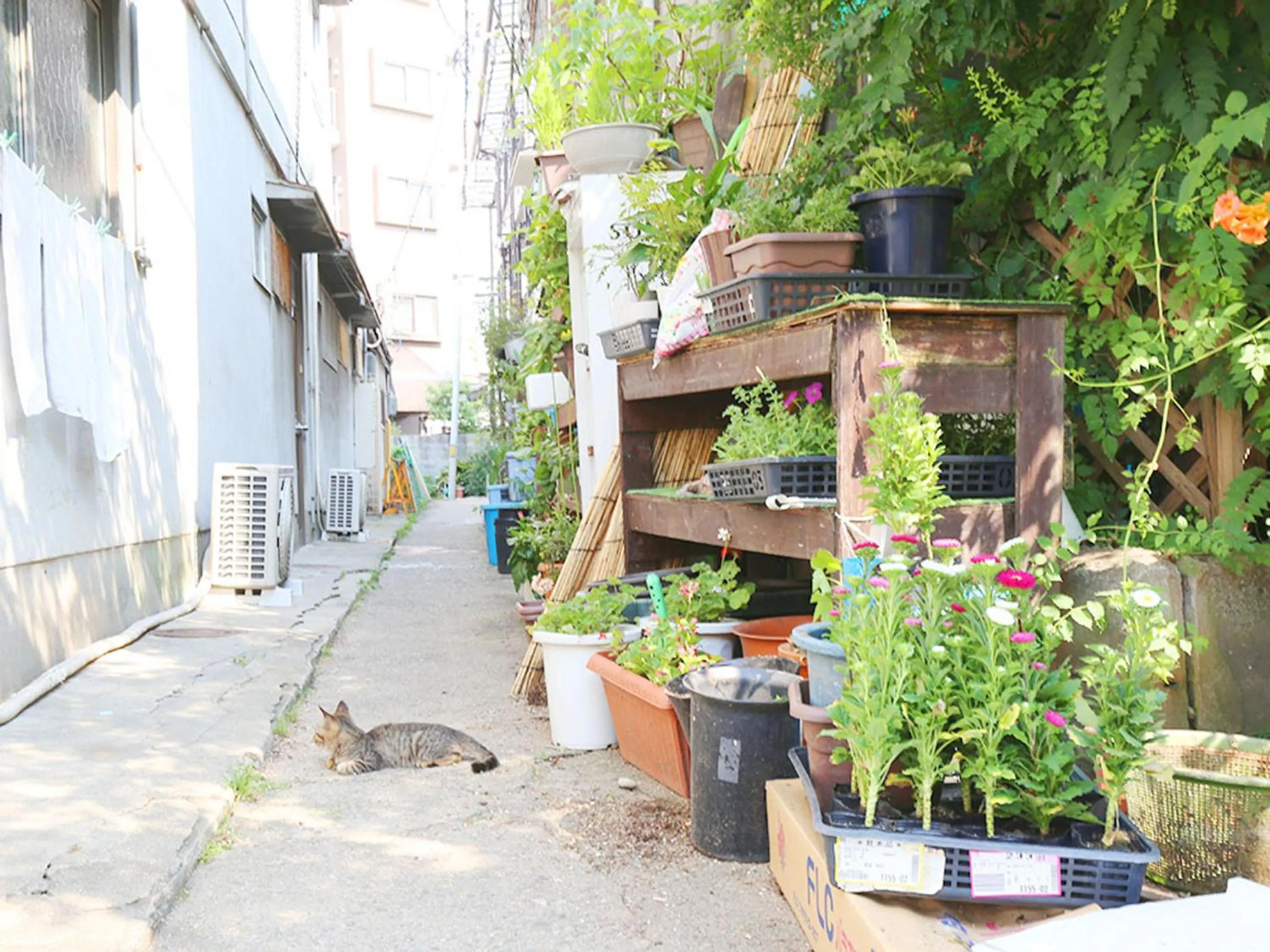 Hostel J Culture168
