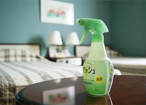 Kurume Station Hotel