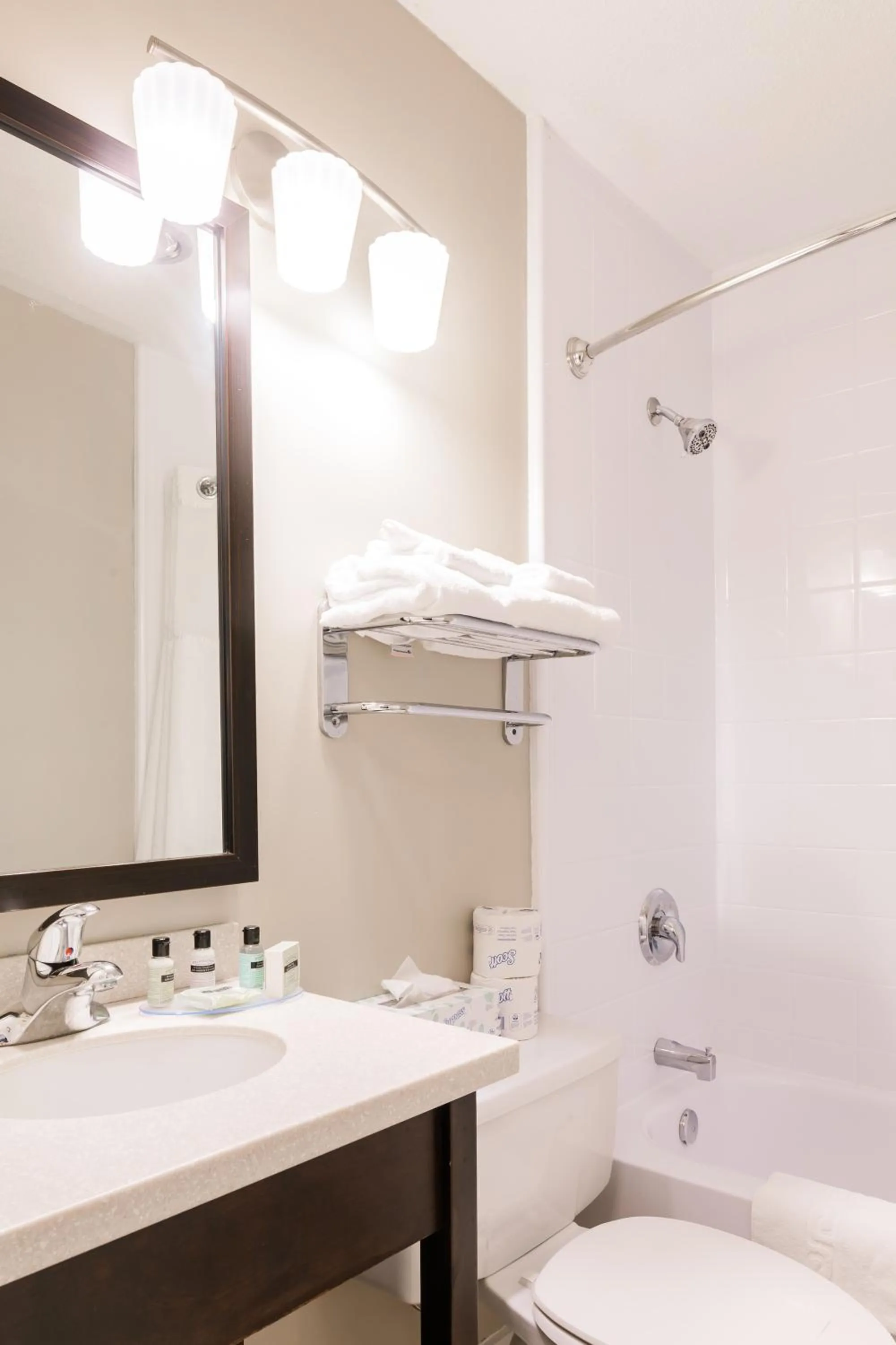 Bathroom in Rodd Royalty