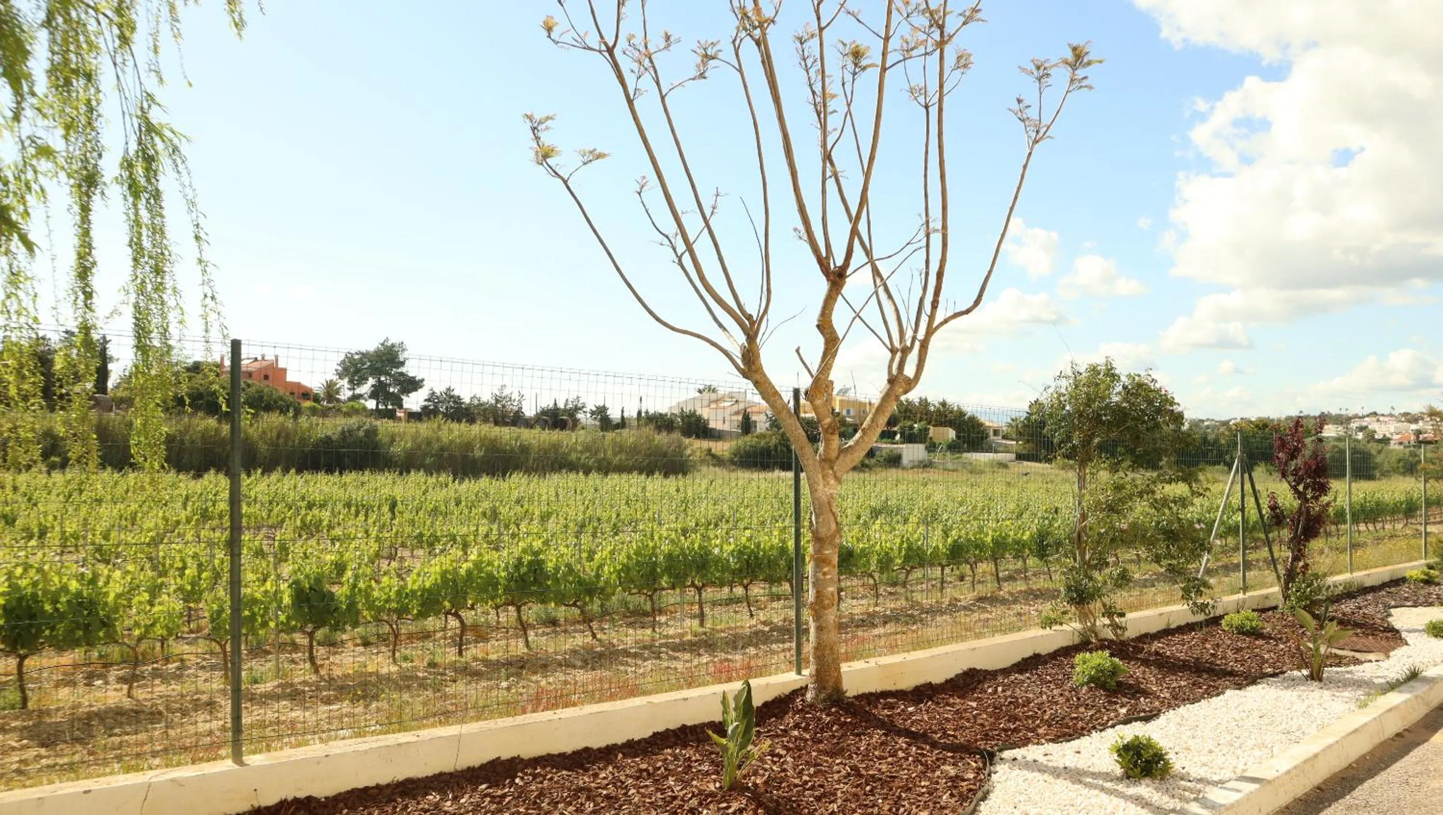 Glenridge By Albufeira Rental