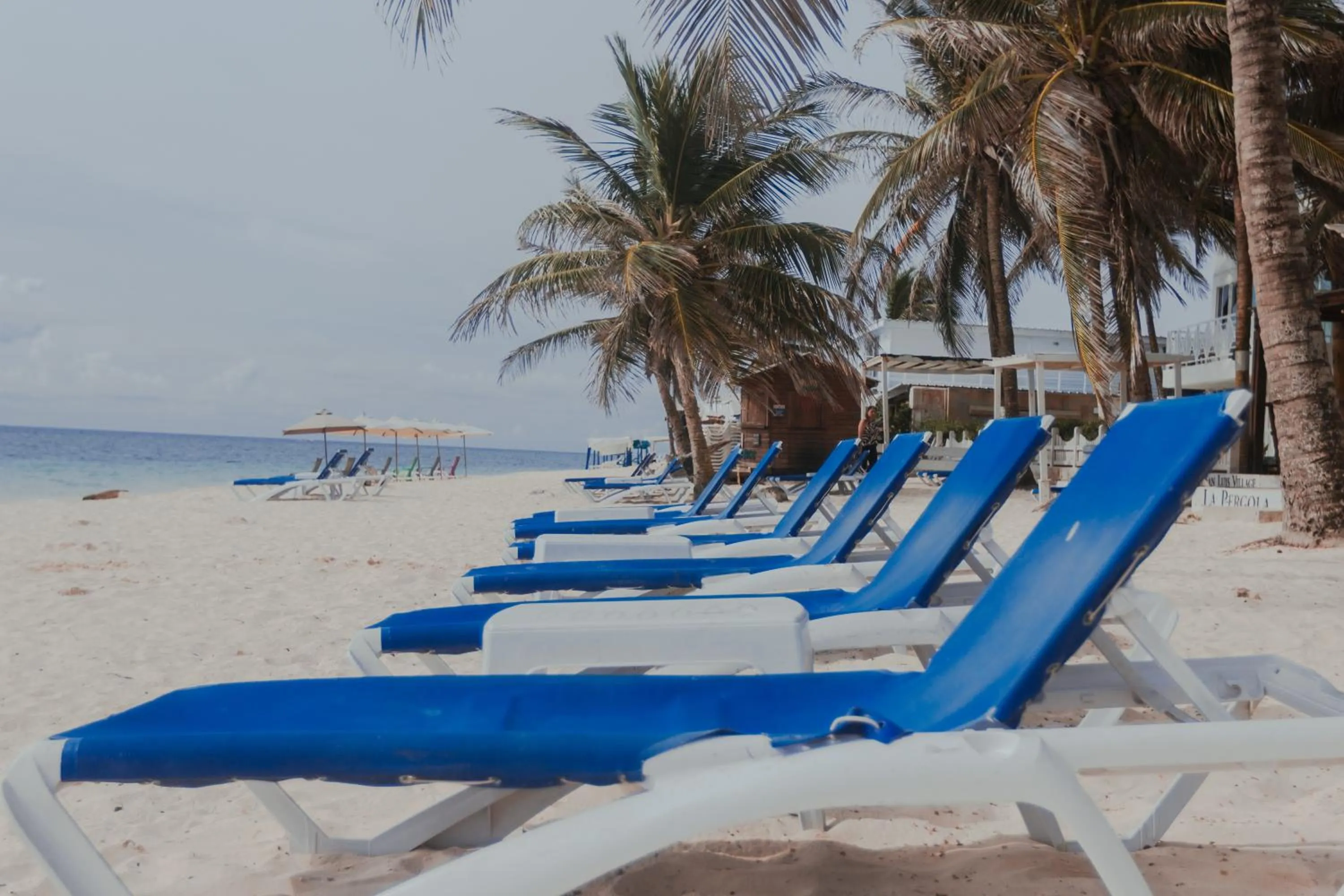 Beach in Hotel San Luis Beach House By OxoHotel