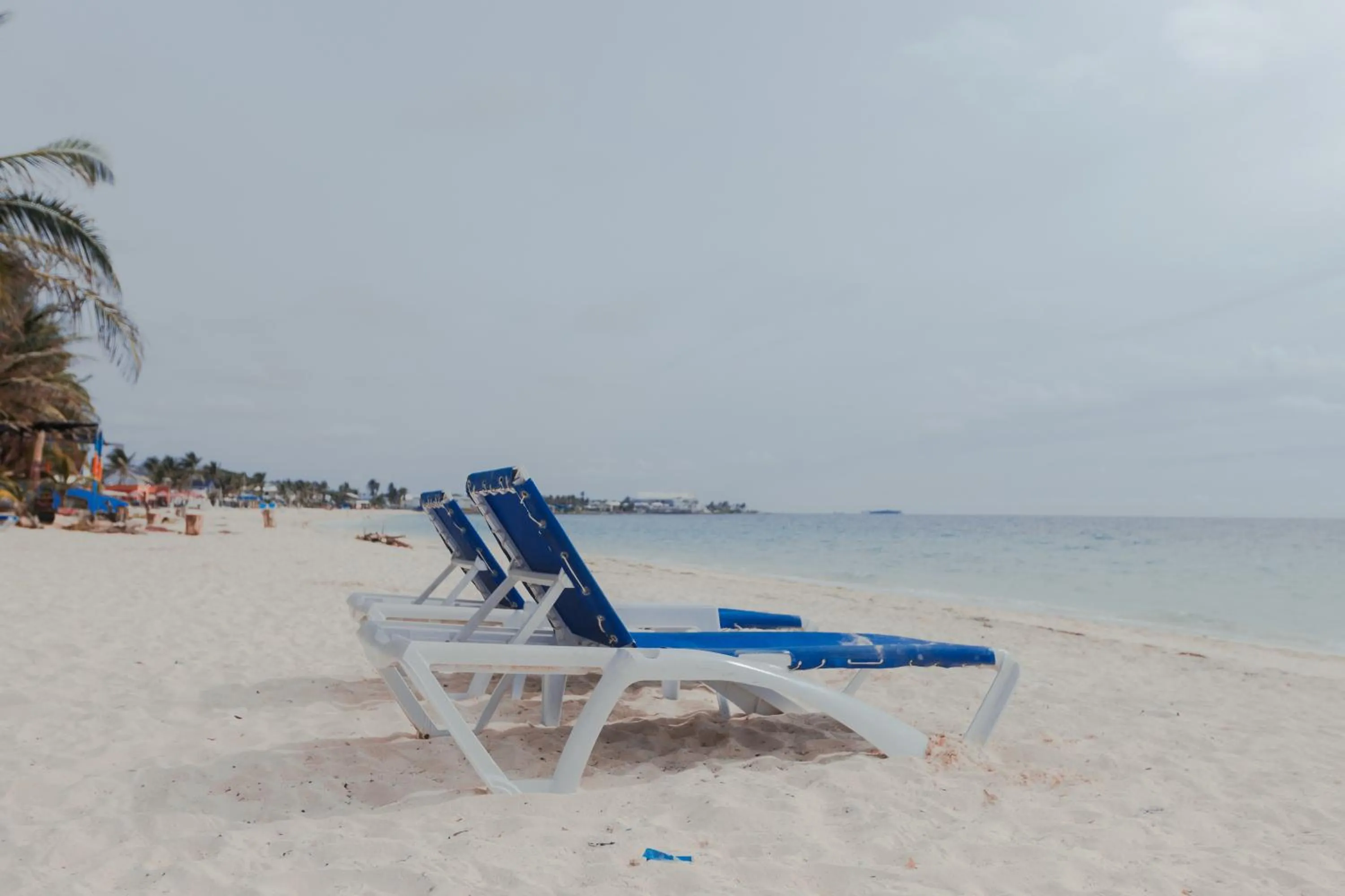 Beach in Hotel San Luis Beach House By OxoHotel