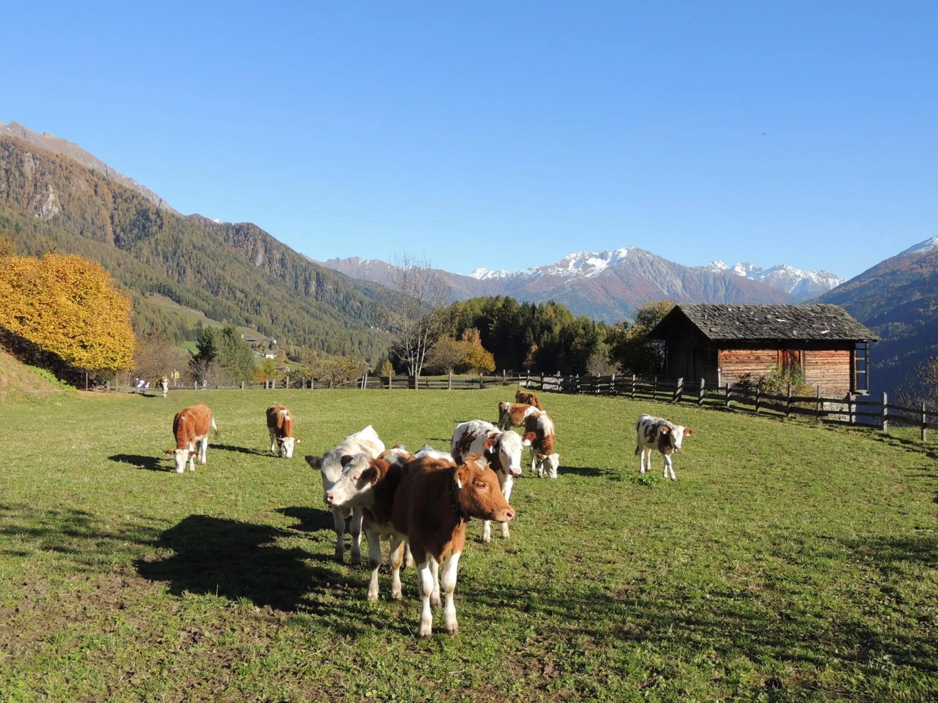 Hiking in Gästehaus Taner