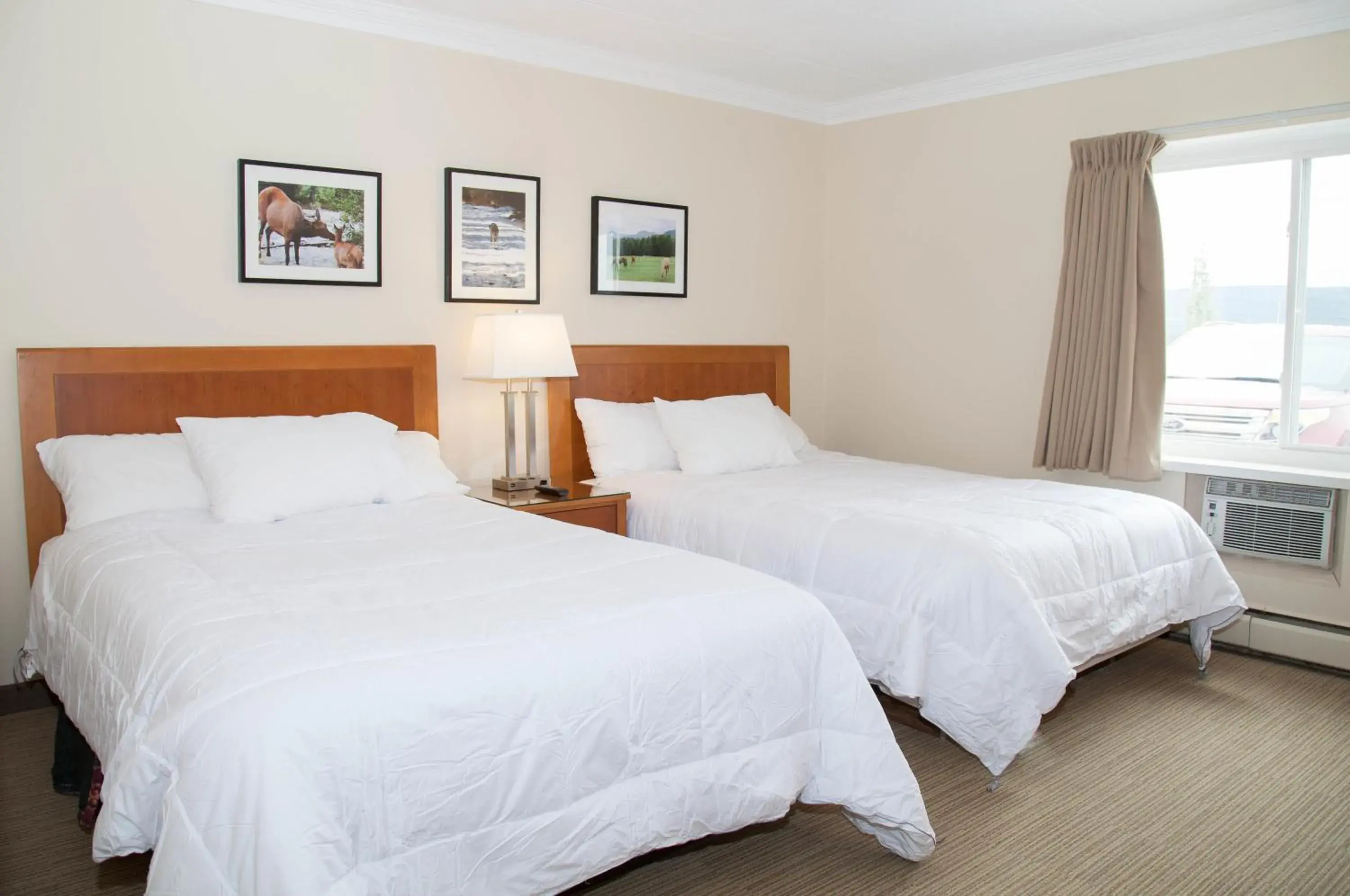 Double Room with Two Double Beds in Twin Pine Inn & Suites Double Room with Two Double Beds in Twin Pine Inn & Suites