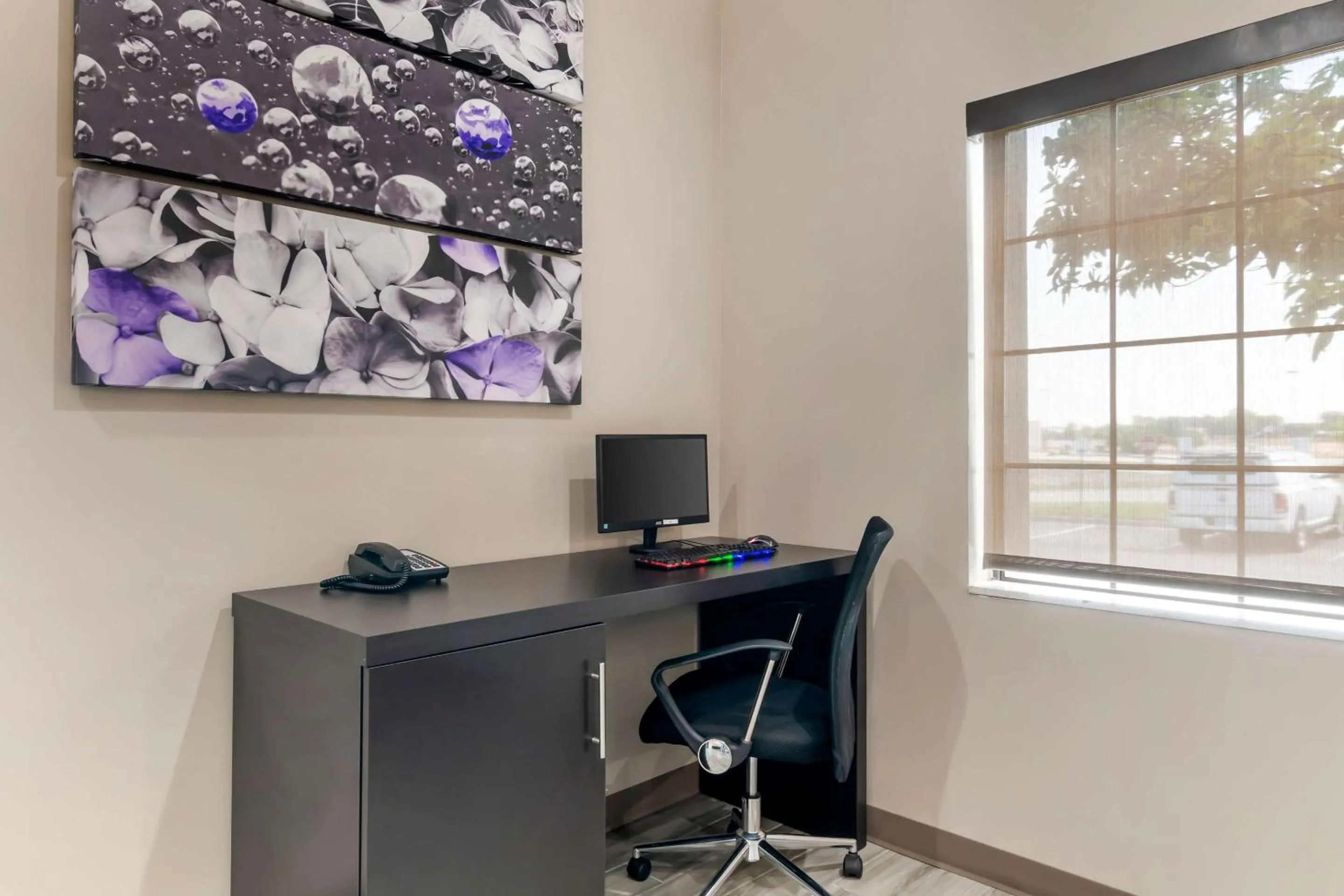 Business facilities in Sleep Inn Olathe - Kansas City