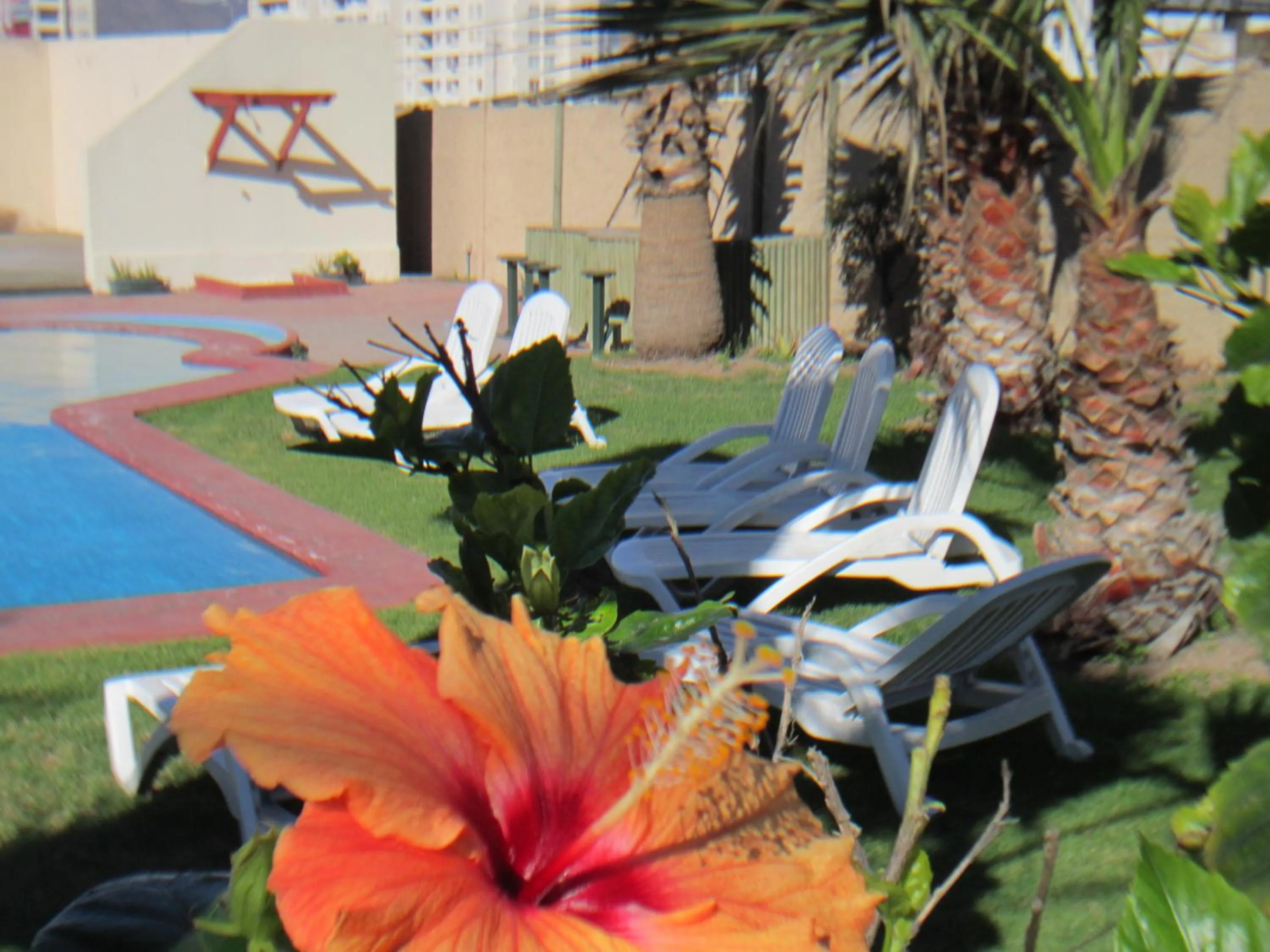 Patio in Hotel Canto del Mar