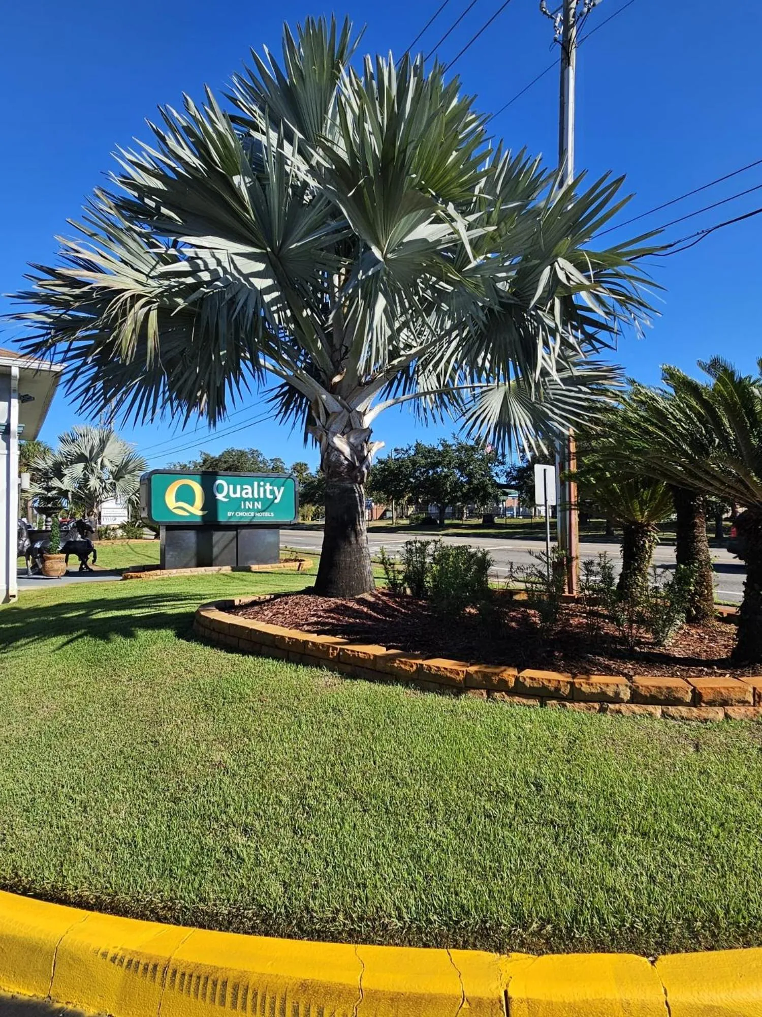 Quality Inn near Blue Spring