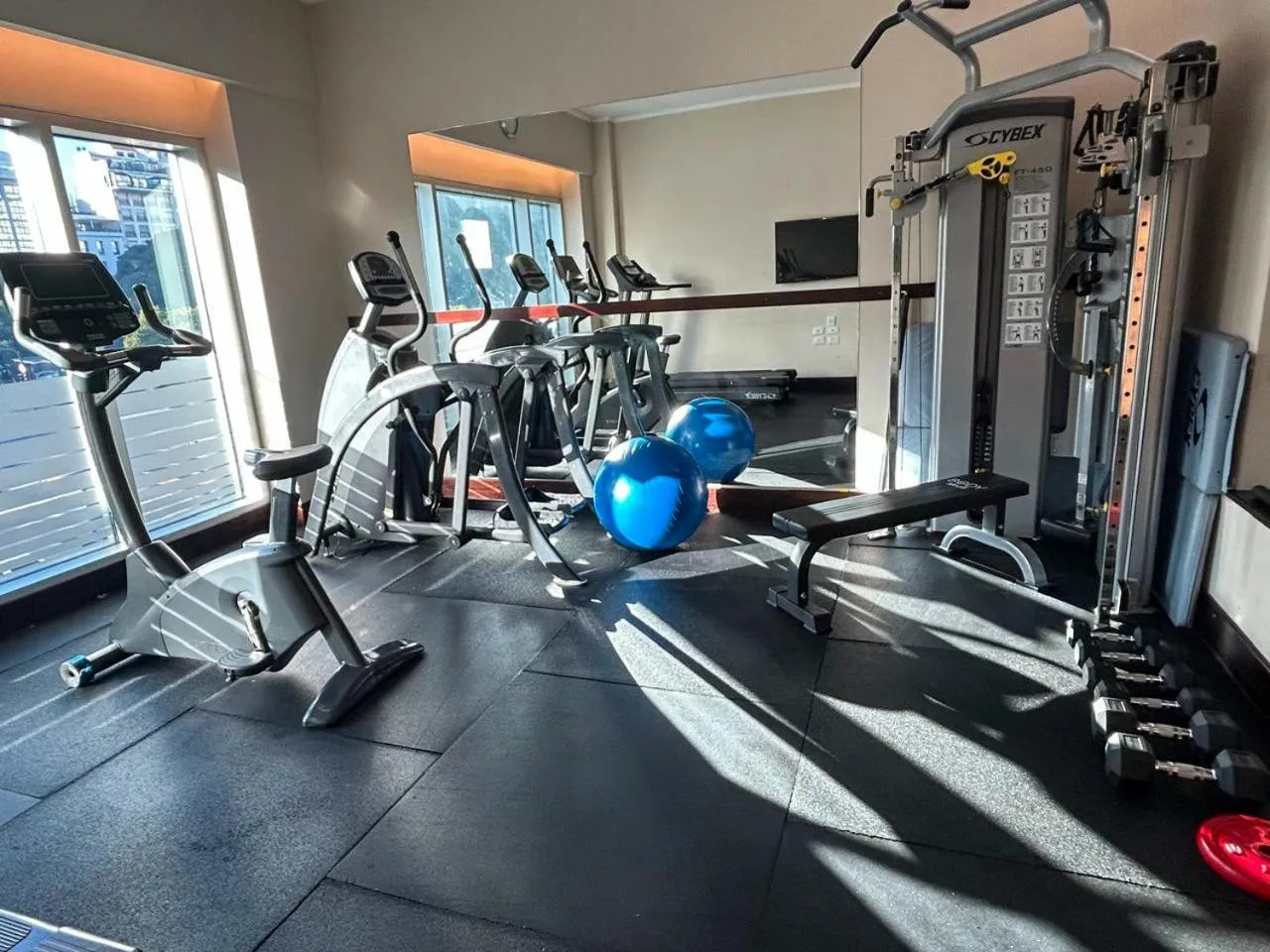 Fitness centre/facilities in Eurobuilding Hotel Boutique Buenos Aires