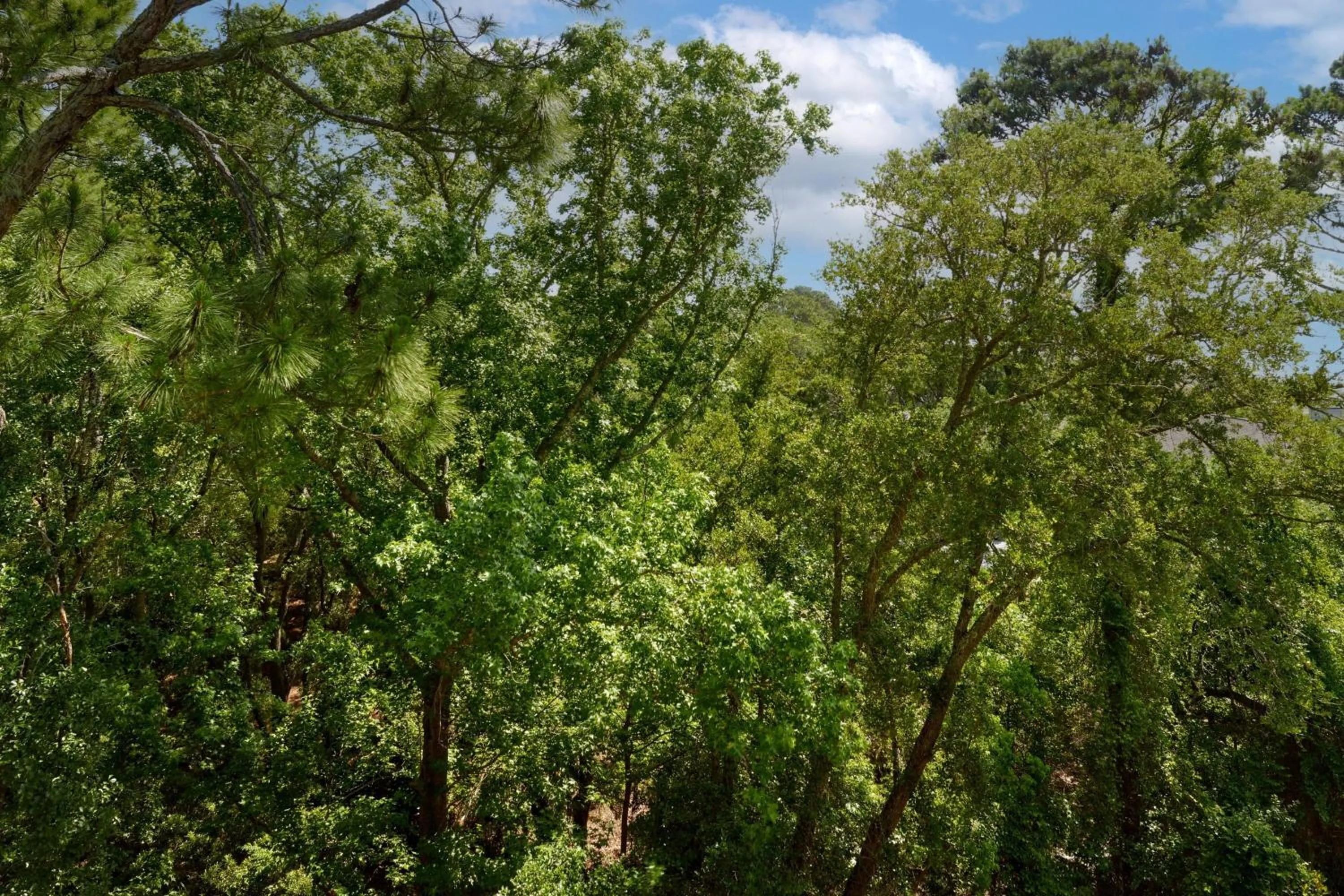 Photo of the whole room in The Westin Hilton Head Island Resort & Spa