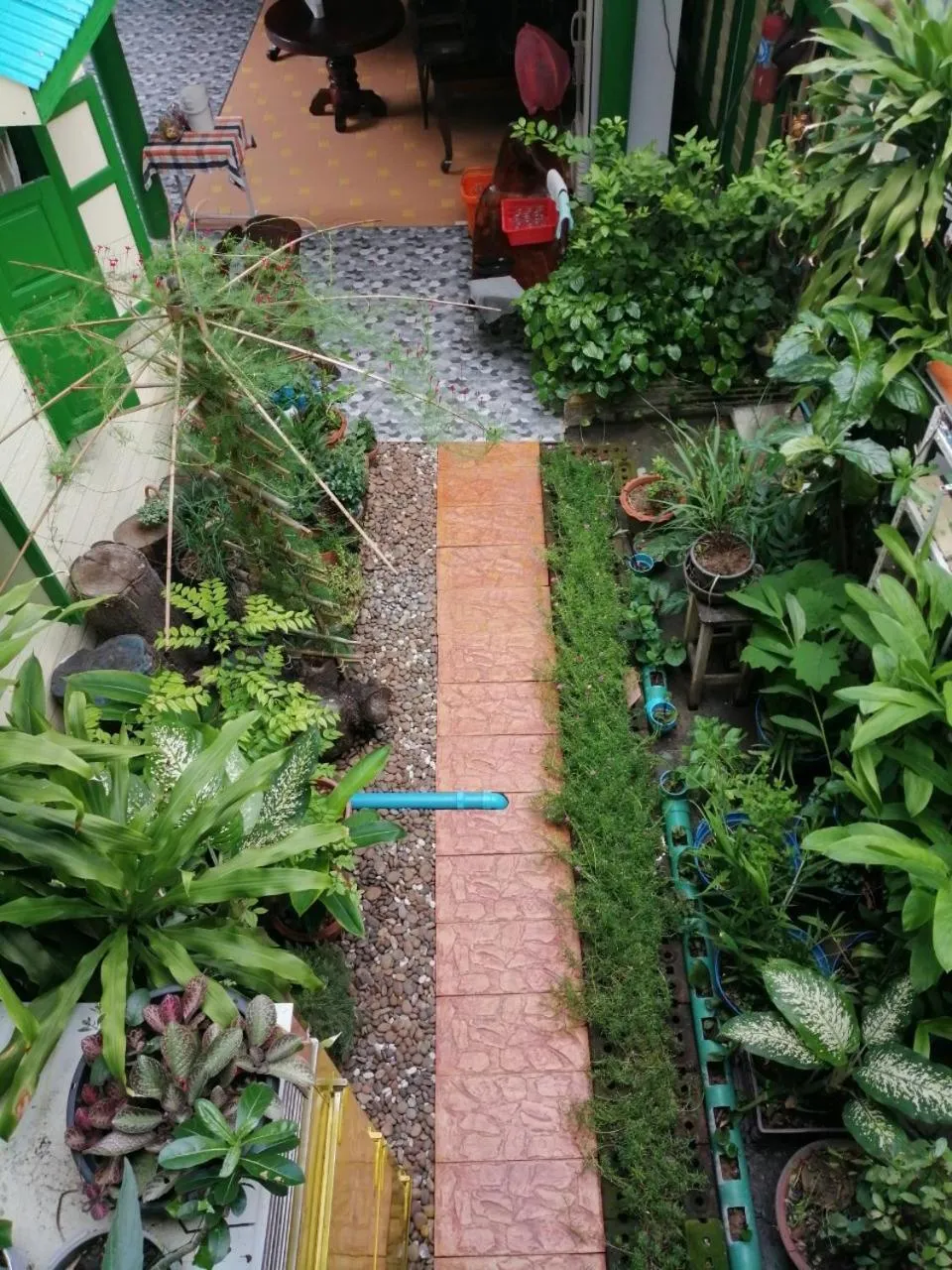 Garden in Baan Tepa Boutique House