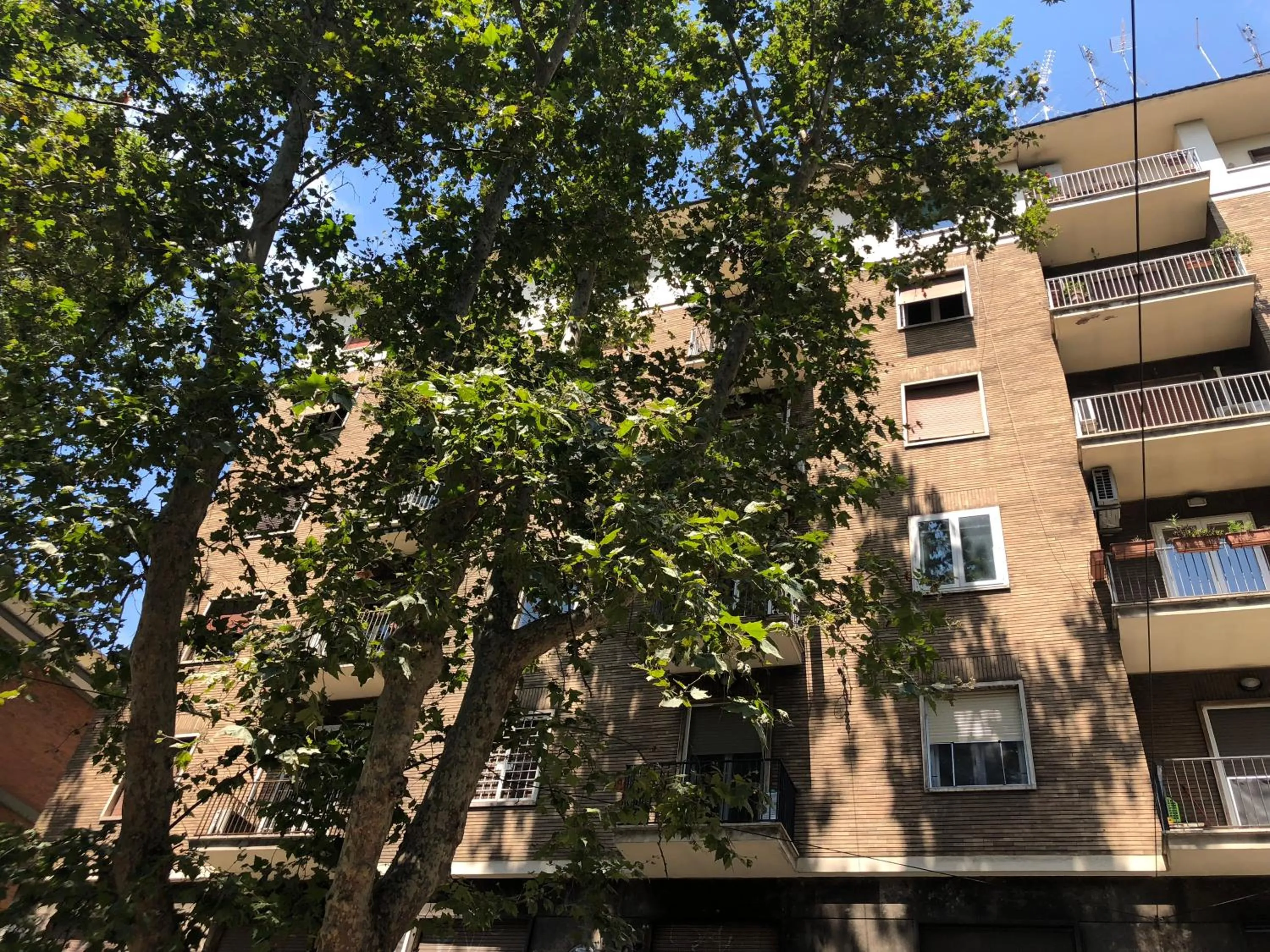 Property building in Top Floor Trastevere