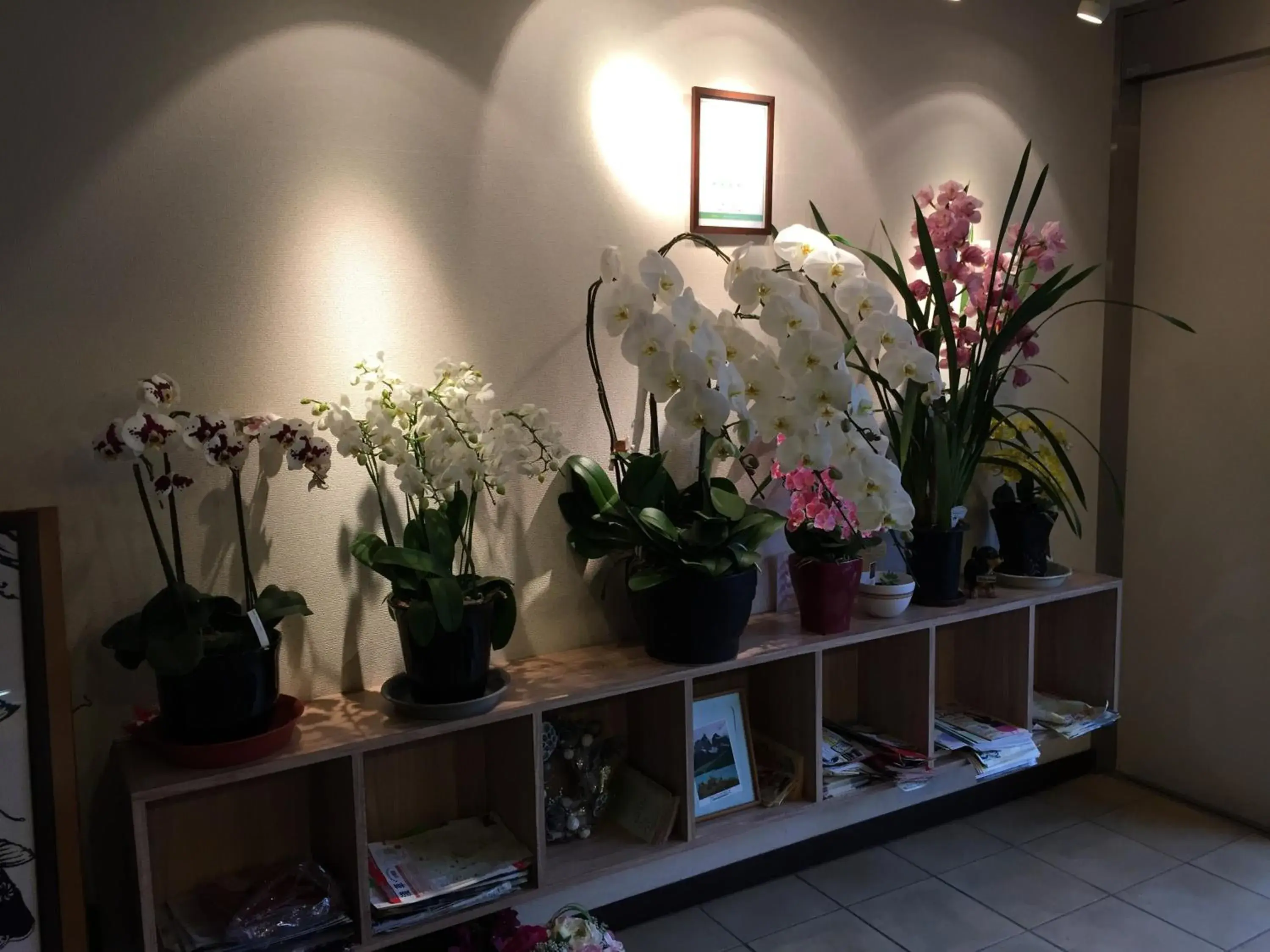 Lobby or reception in Hotel Palace Japan Lobby or reception in Hotel Palace Japan