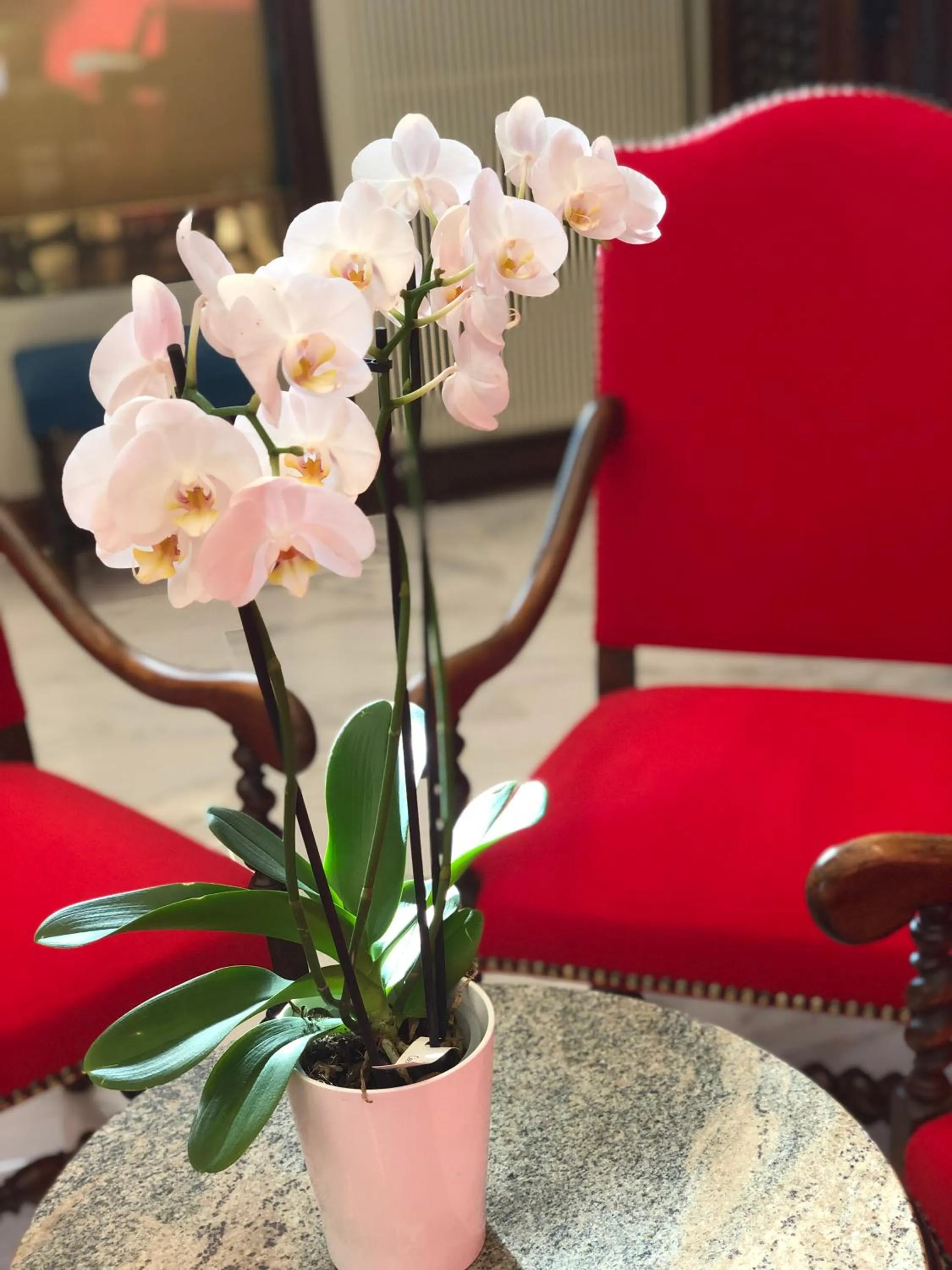 Grand Hôtel d'Espagne