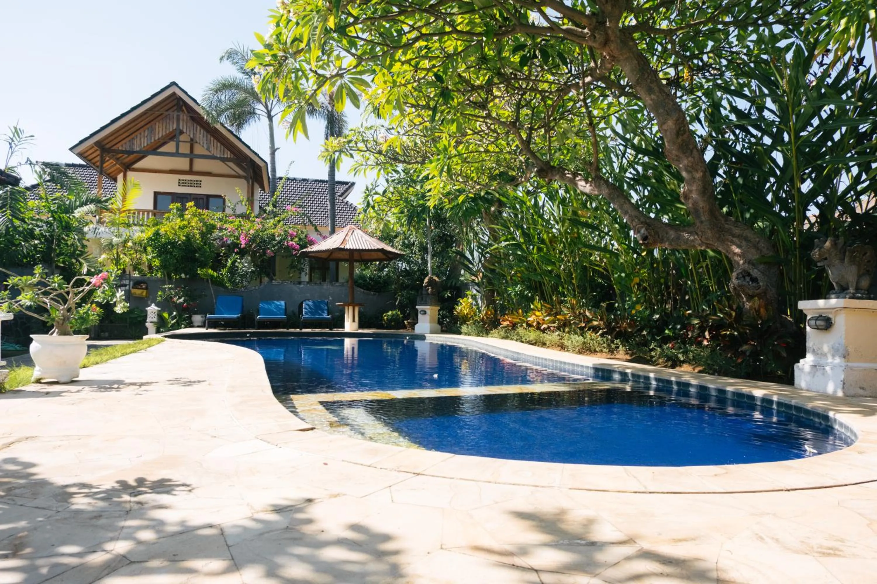 Swimming pool in New Starlight Hotel Lovina