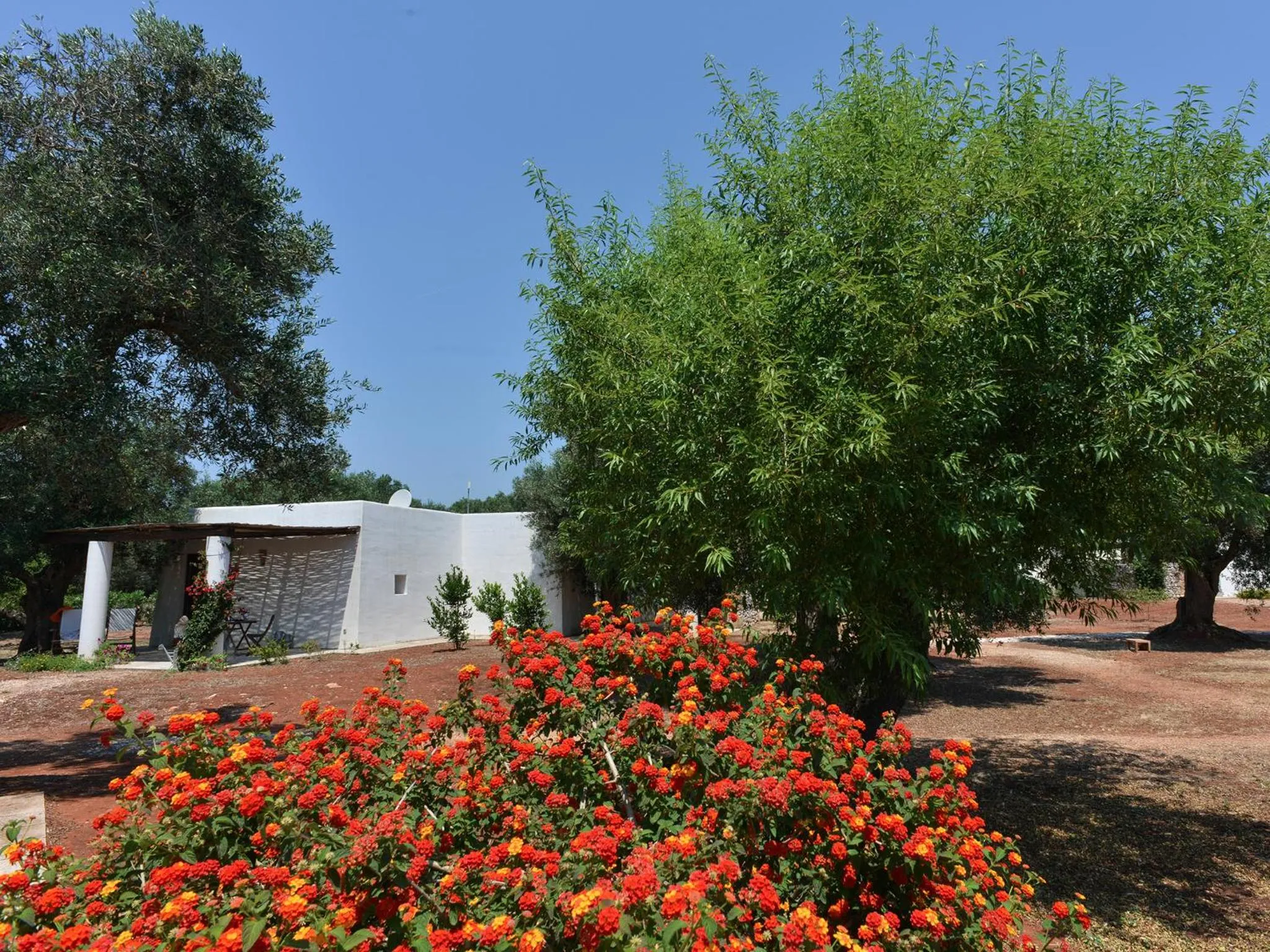 Garden in I Mulicchi