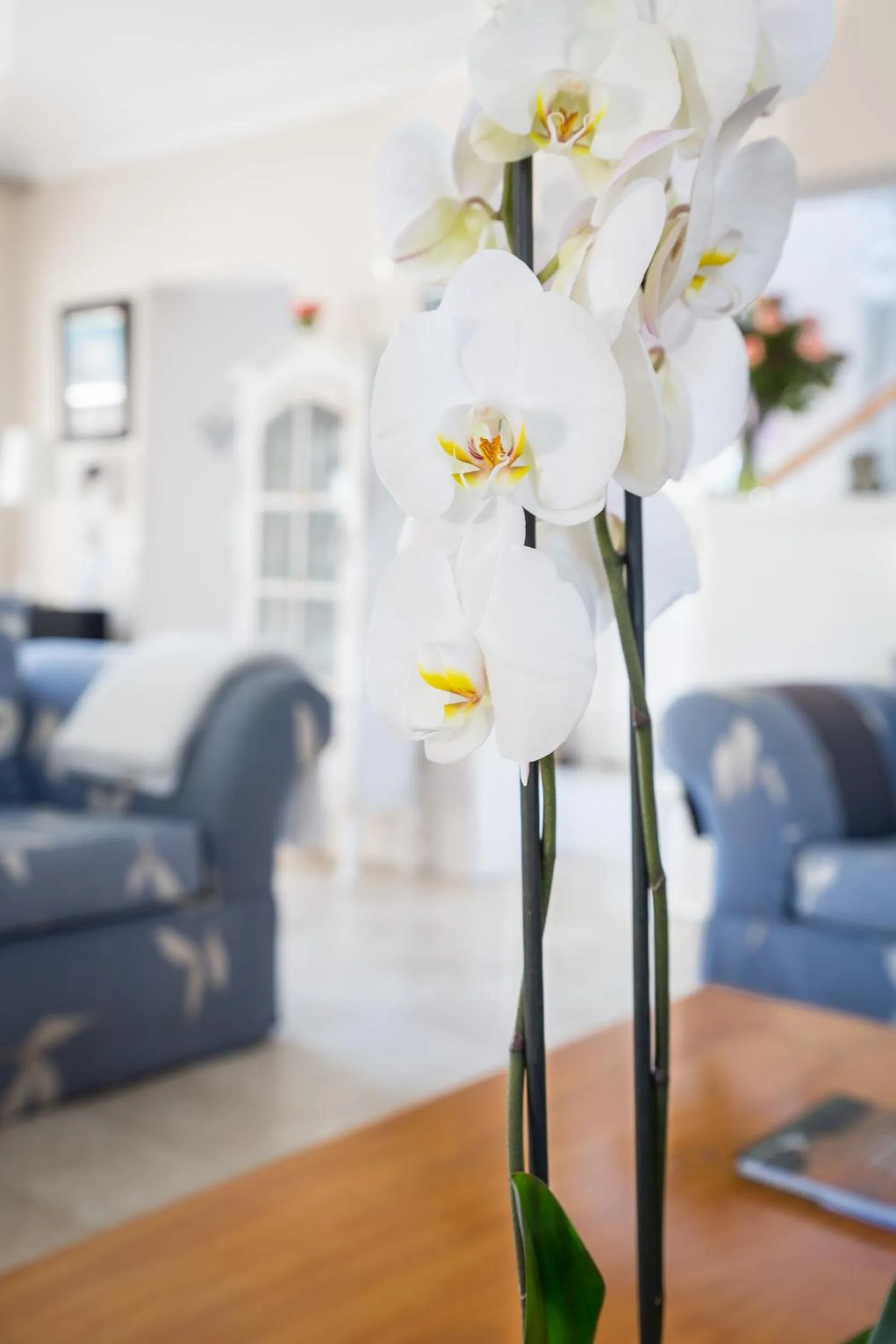 Decorative detail in Atlantic Beach Villa