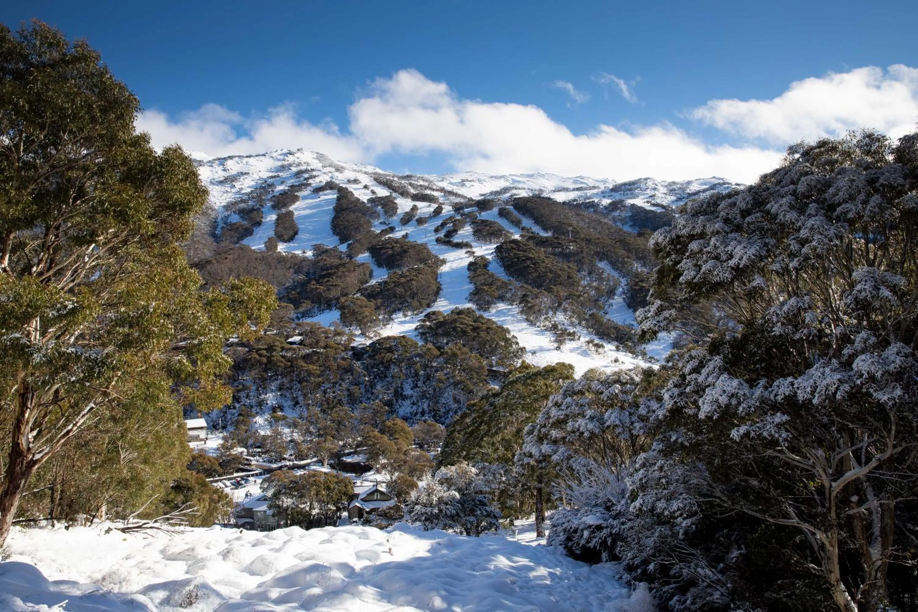 Thredbo Alpine Hotel