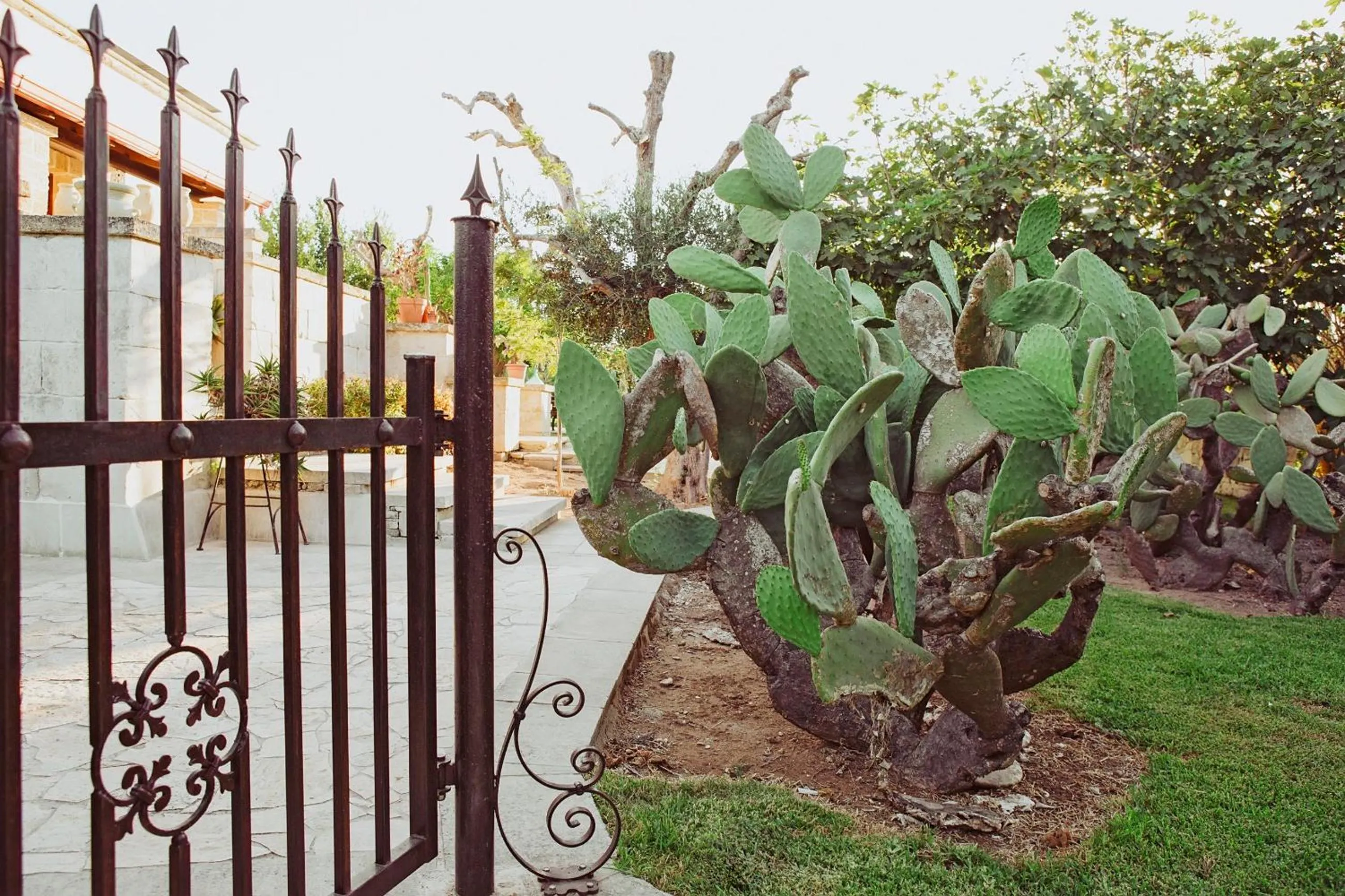 Masseria L'Uliveto Agri Resort