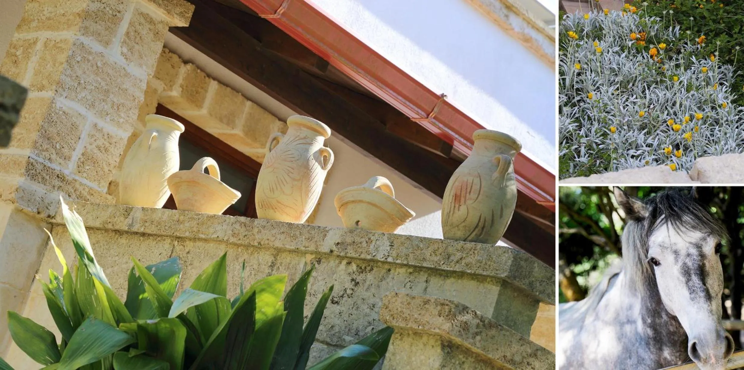 Masseria L'Uliveto Agri Resort