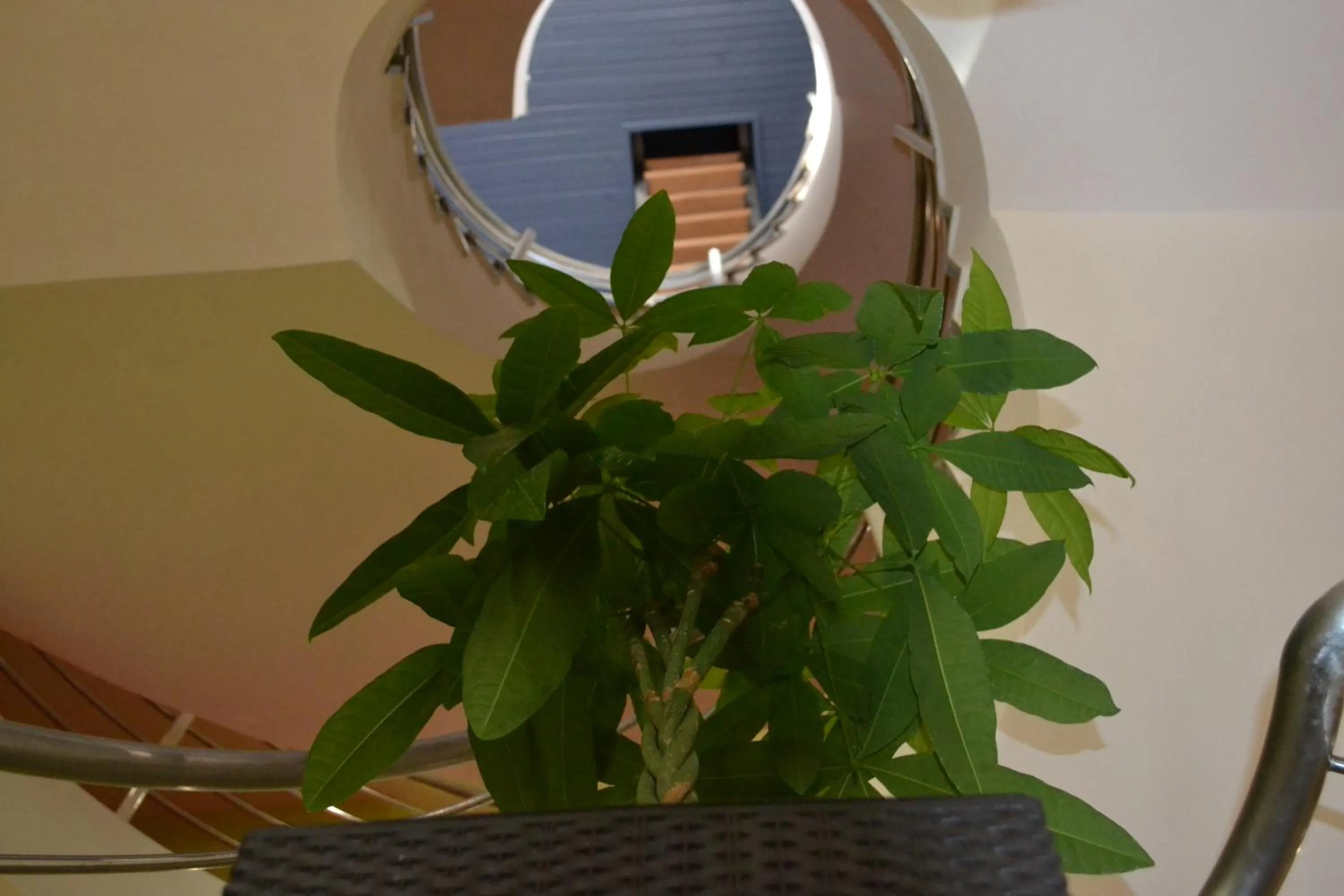 Decorative detail in Greenwood hotel