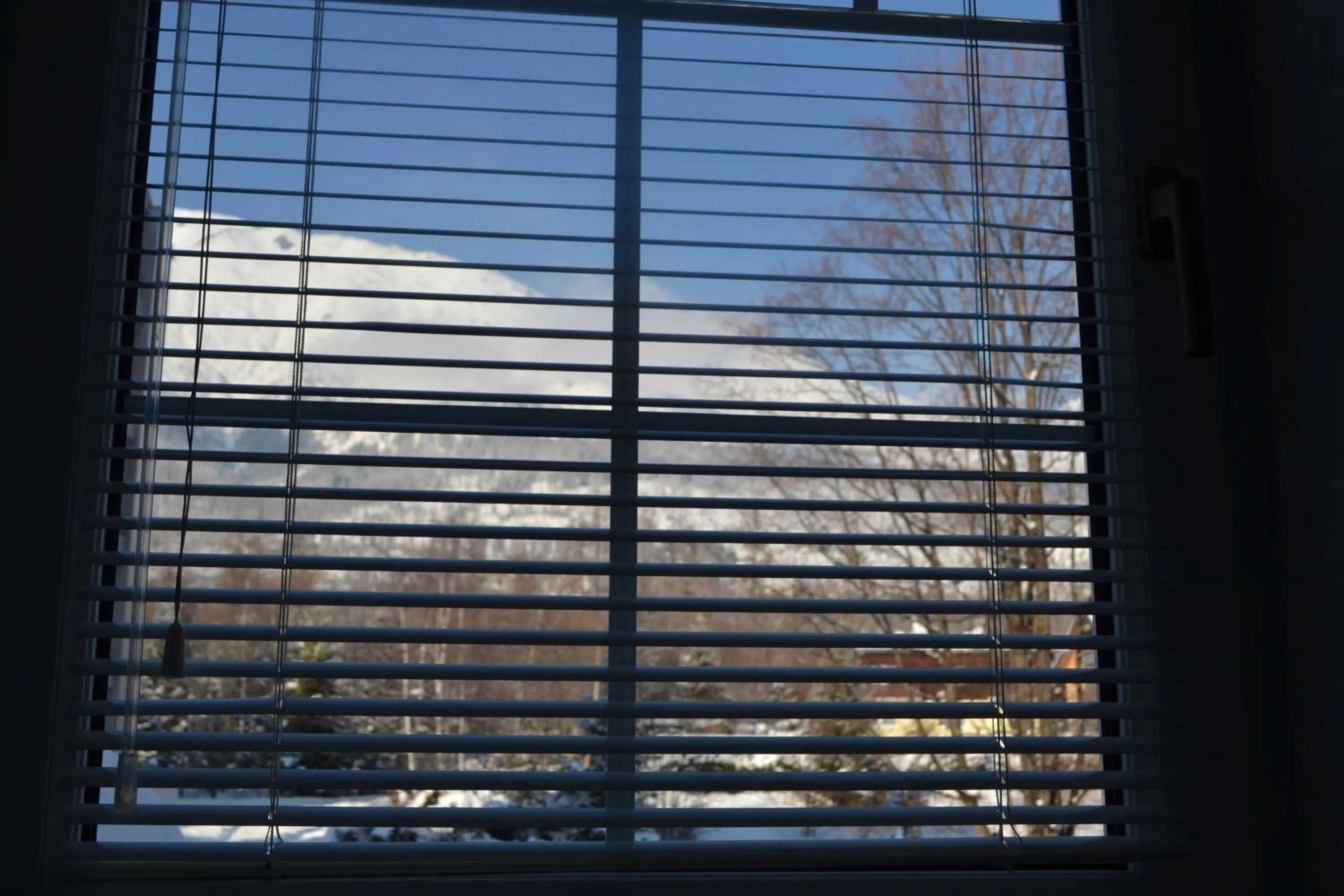 Mountain view in Greenwood hotel