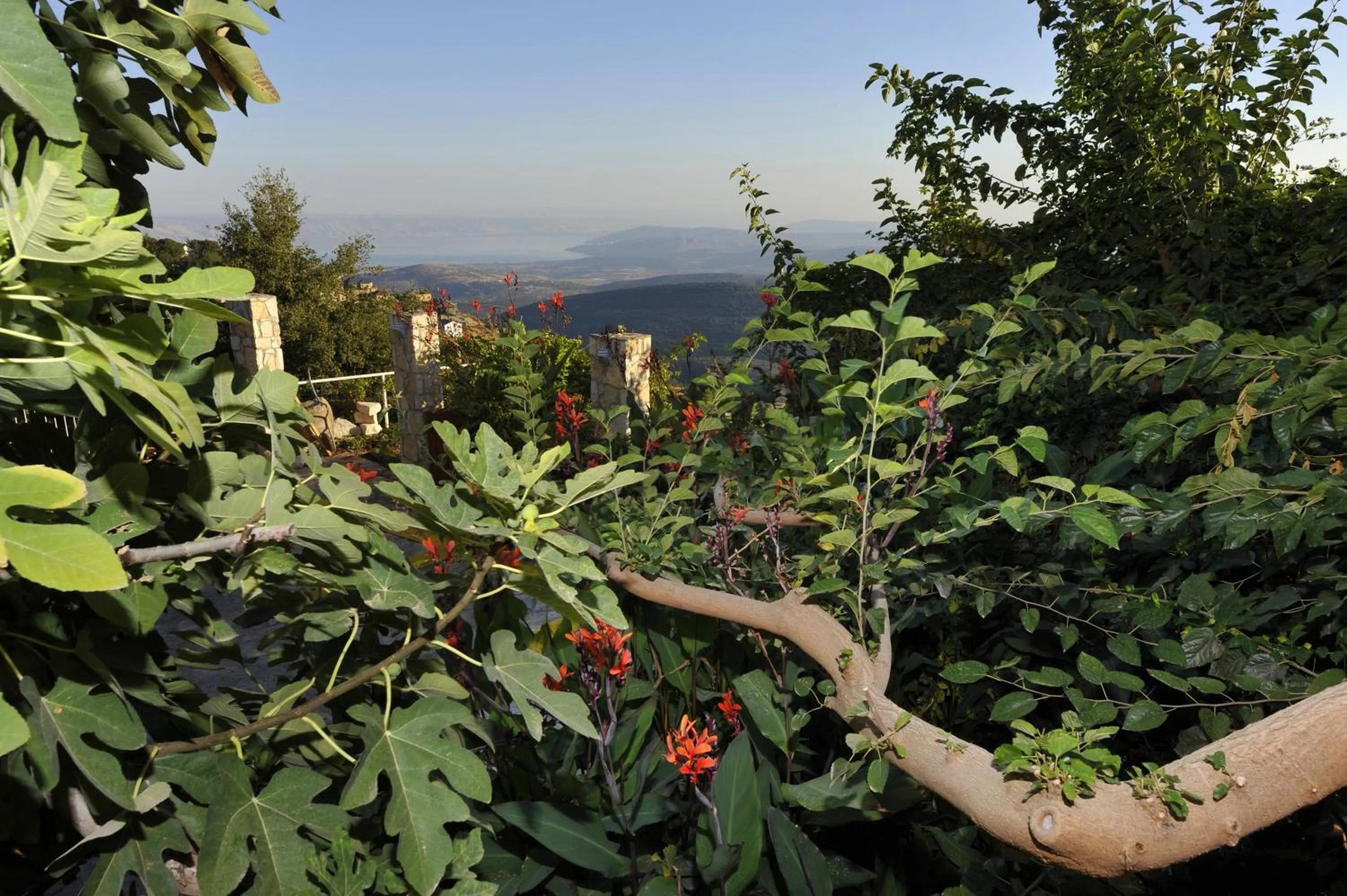 Garden view in Ohn-Bar Guesthouse