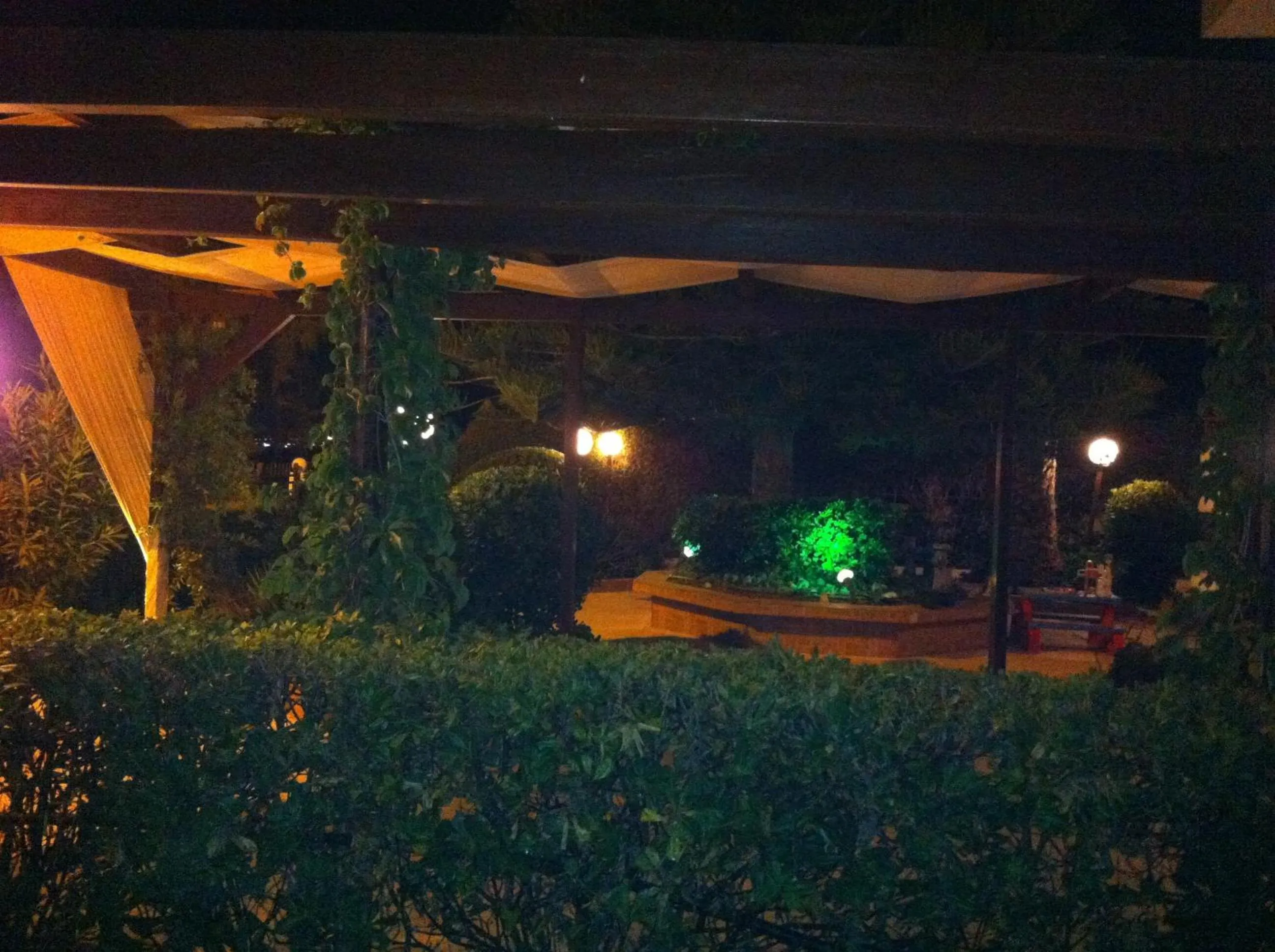 Garden in Chris Studios & Apartments