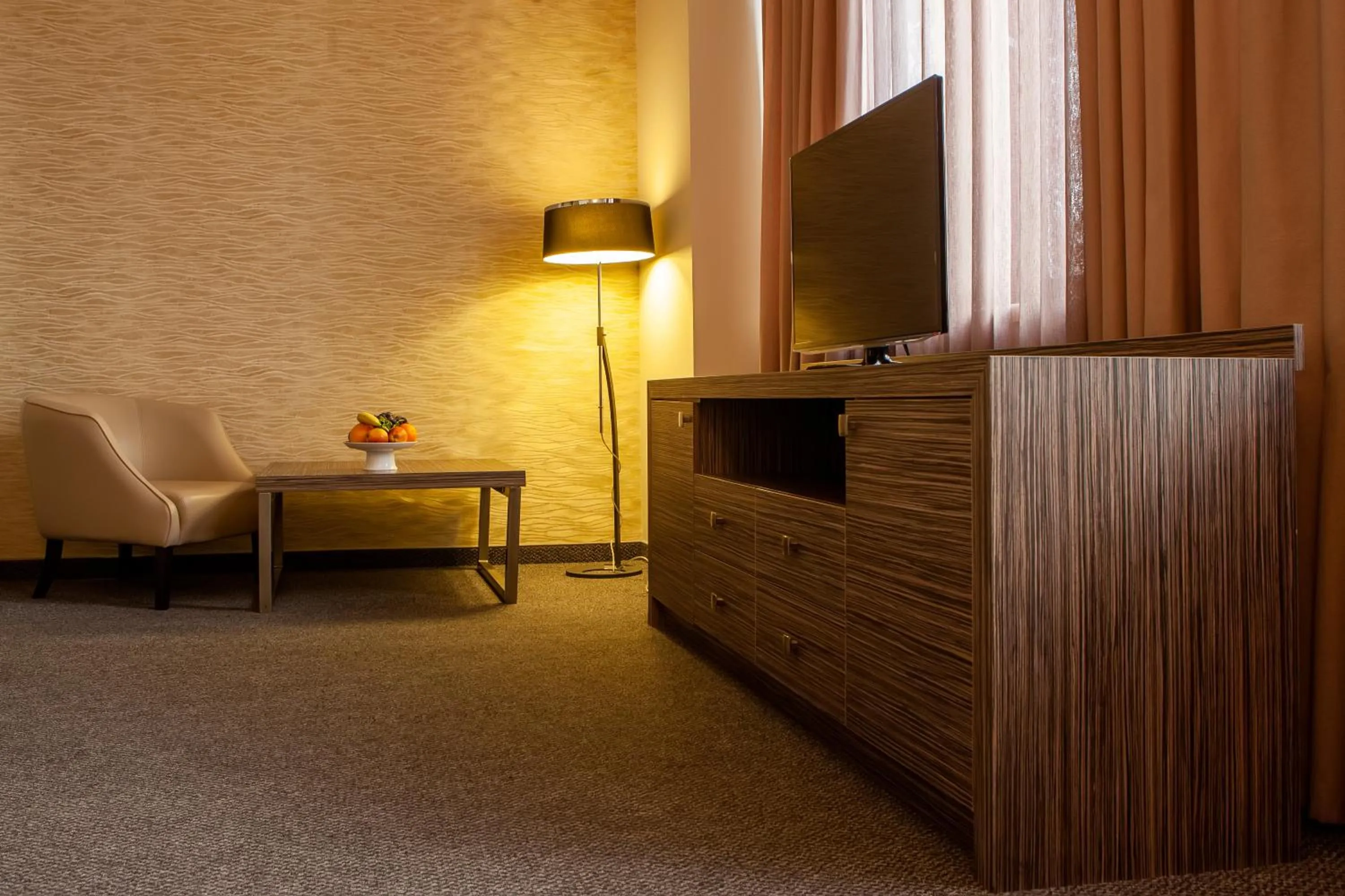 TV and multimedia in President Hotel by Hrazdan Hotel CJSC