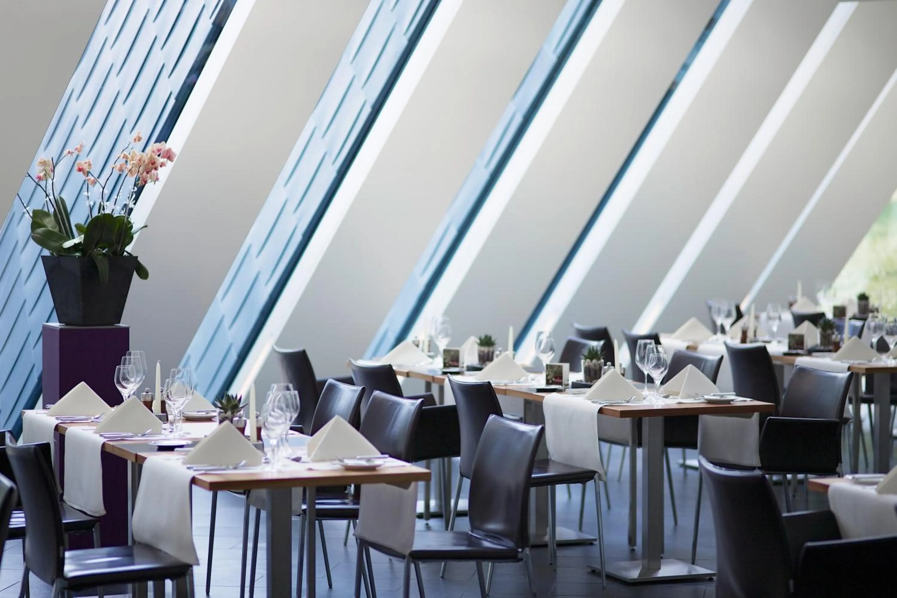 Restaurant/places to eat in Hof Weissbad Health & Wellness Resort