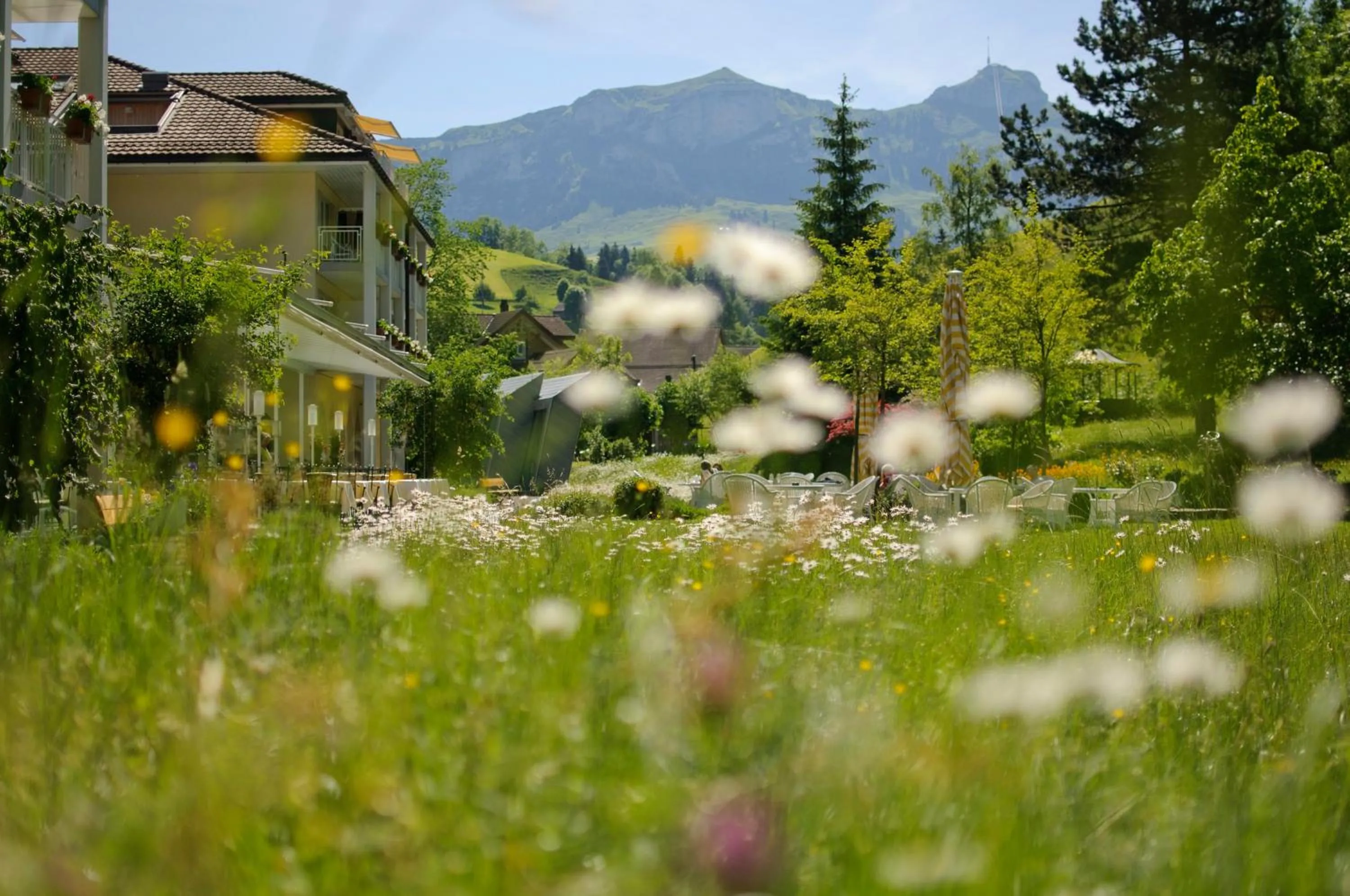 Garden in Hof Weissbad Health & Wellness Resort