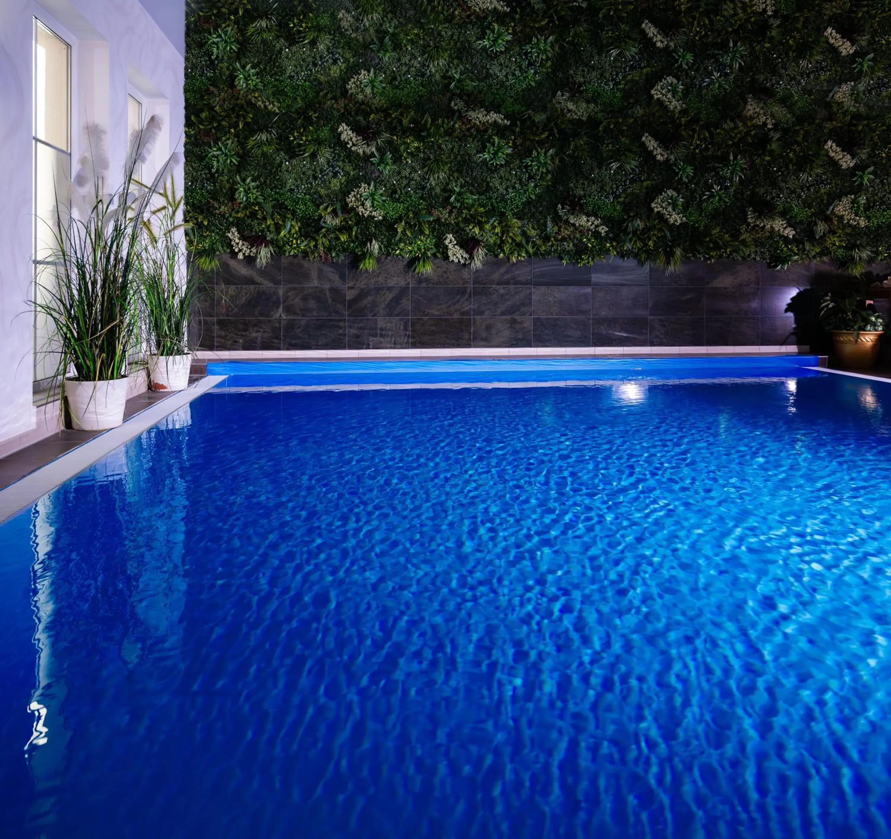 Swimming pool in Rathener Hof by STEIGER Hotels
